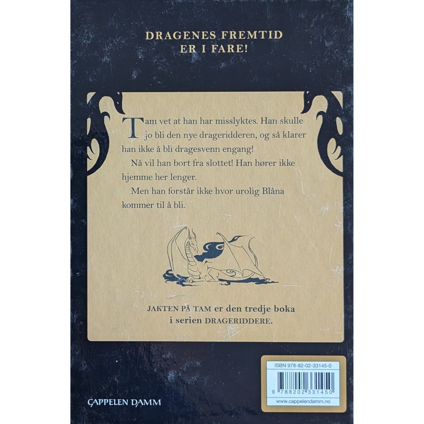 Drageridderne (3) - Jakten på Tam, brukte bøker av Jo Salmson