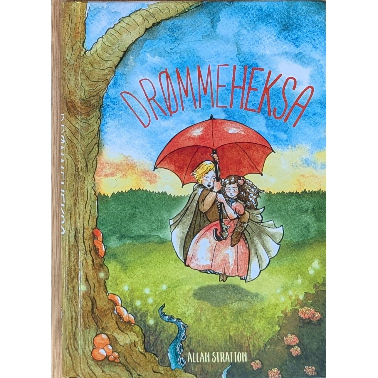Drømmeheksa, brukte bøker av Allan Stratton