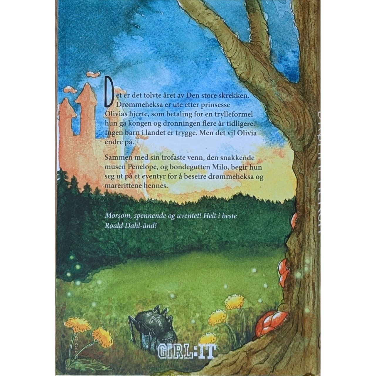 Drømmeheksa, brukte bøker av Allan Stratton