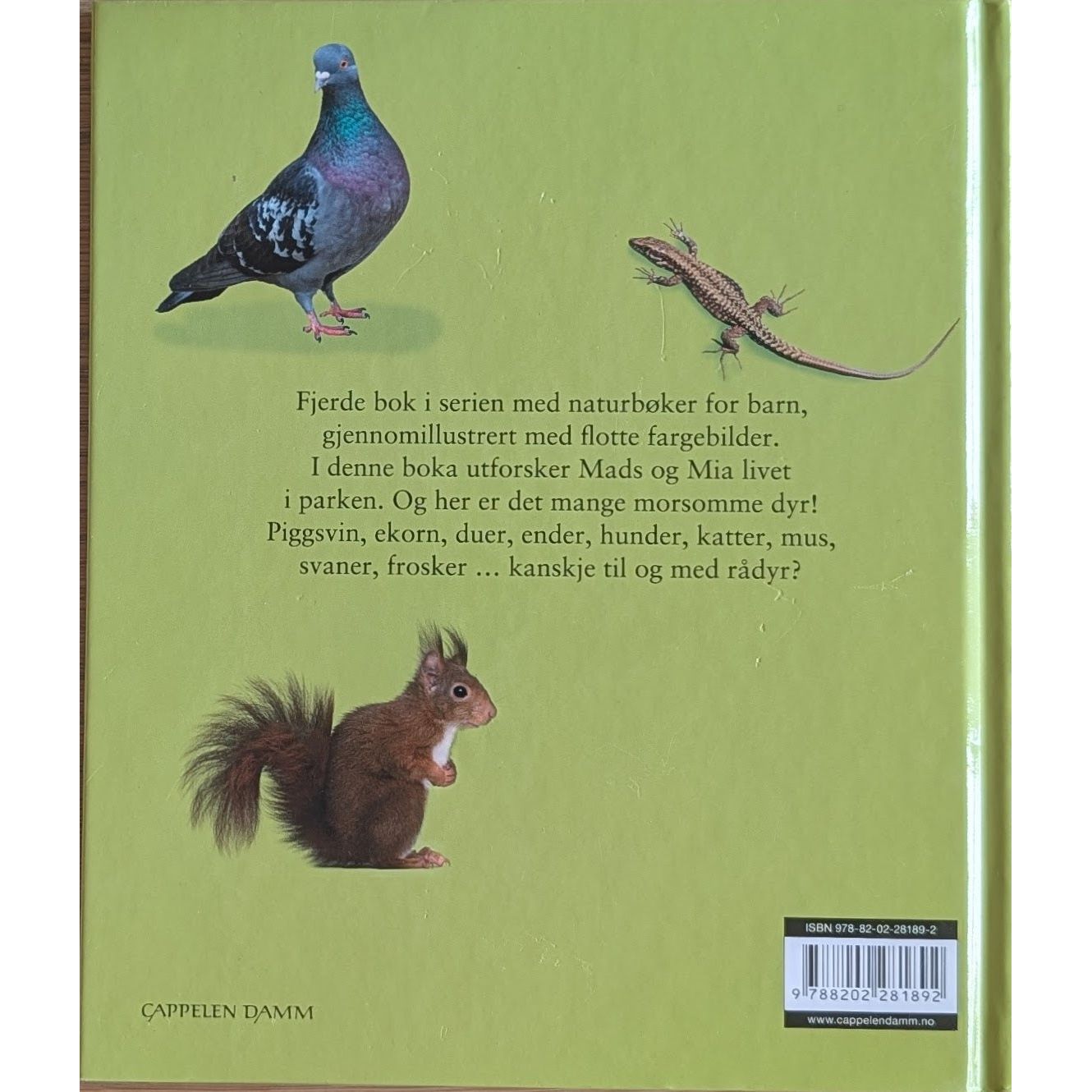 Mads og Mia i parken, brukte bøker av Bjørn Eidissen