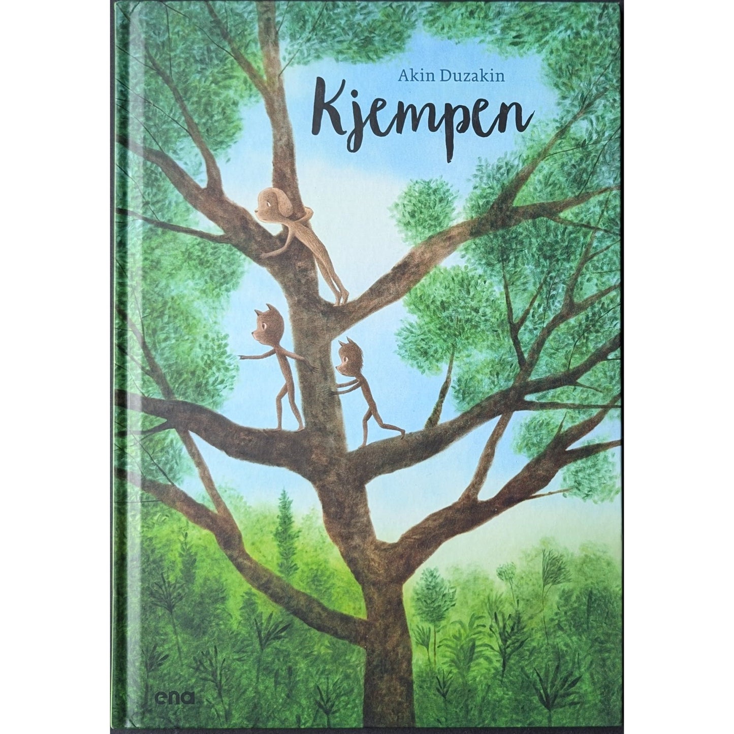 Kjempen, brukte bøker av Akin Düzakin
