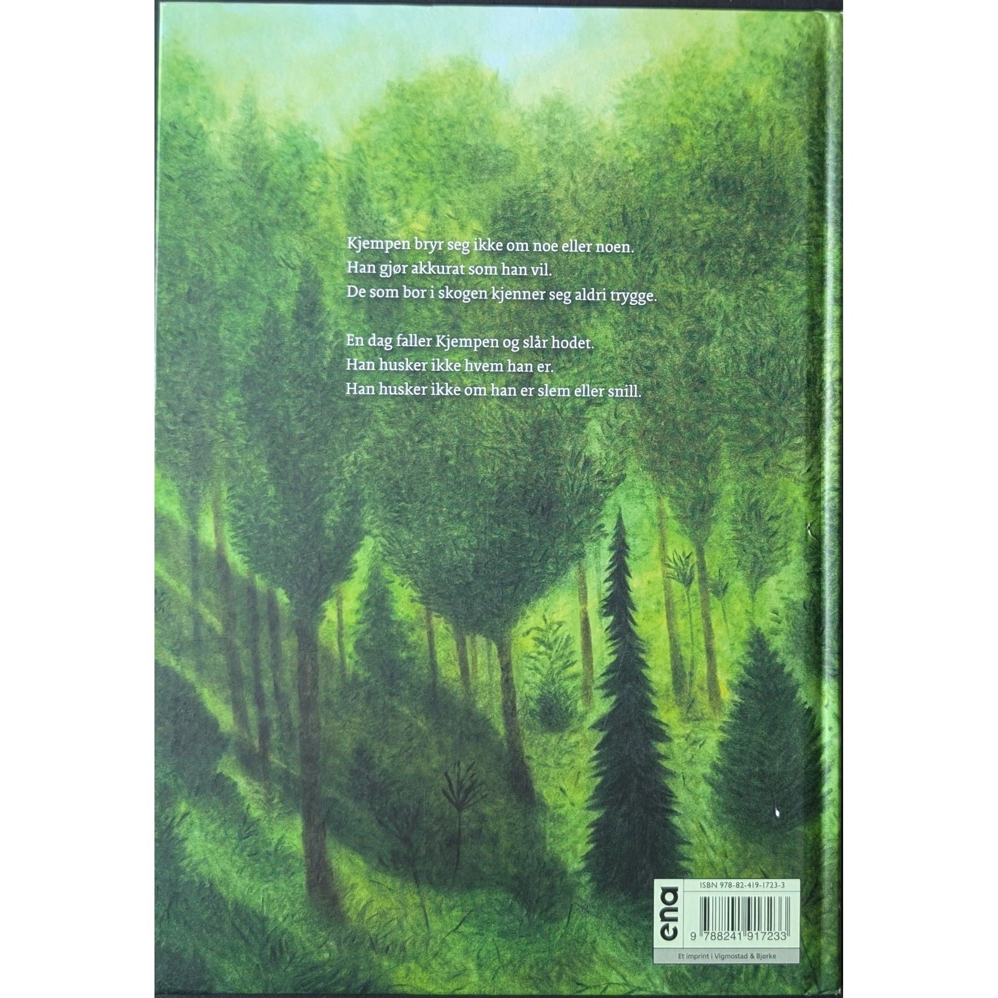 Kjempen, brukte bøker av Akin Düzakin