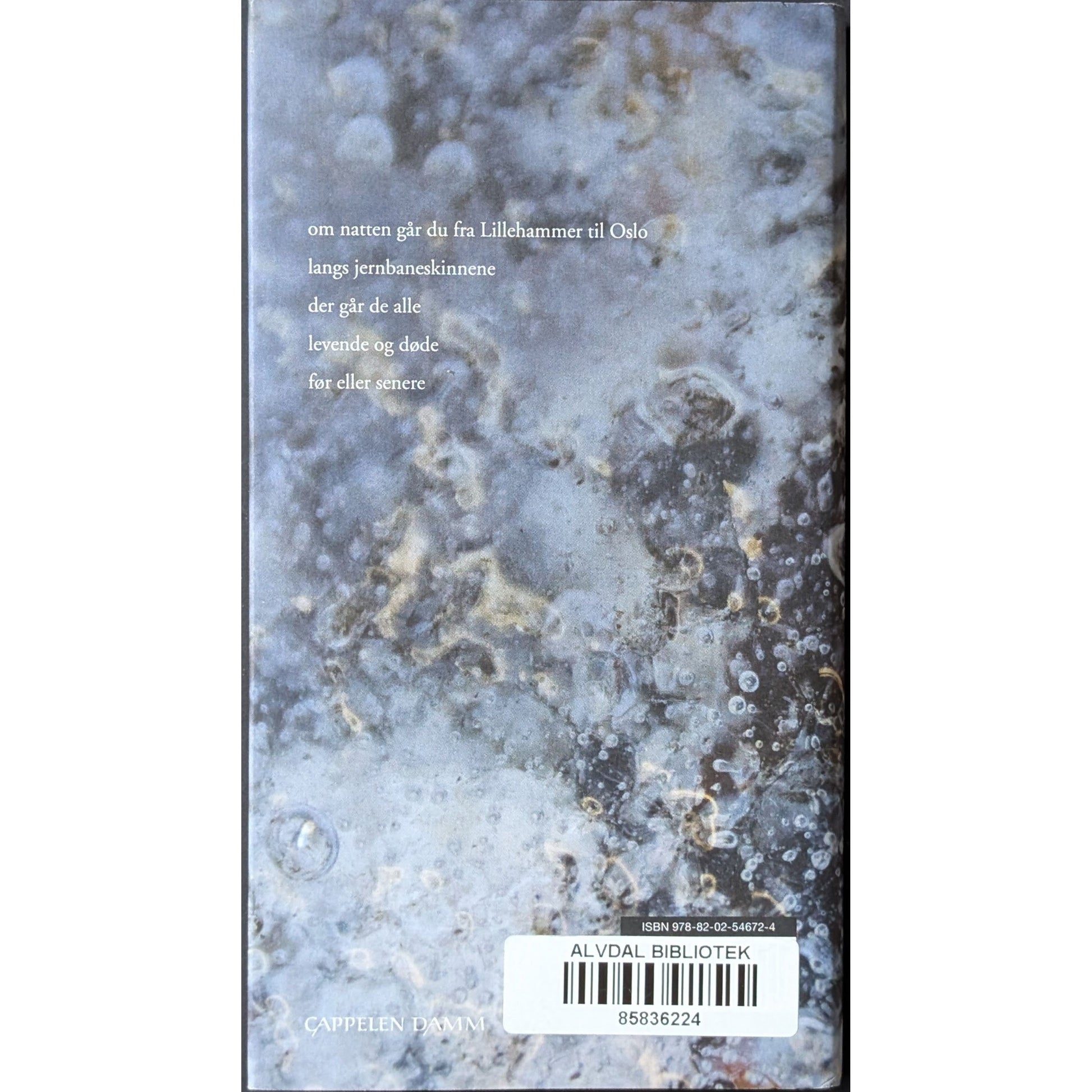 Du bestemmer deg for at dette er et minne, brukte bøker av Marianne Teie. Inventaret bokhandel