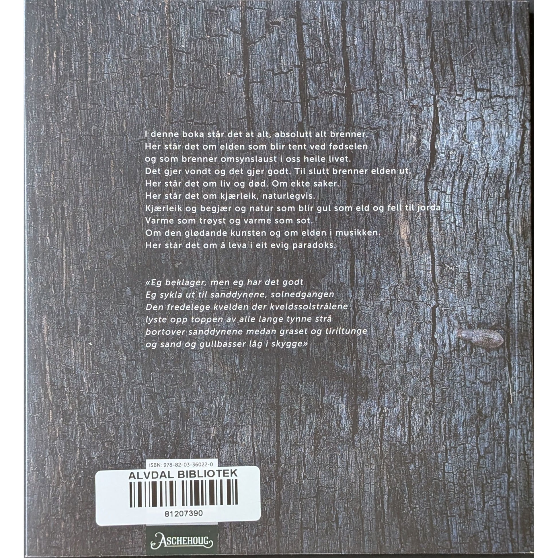 Alt brenner. Brukte bøker av Helge Torvund. Inventaret bokhandel