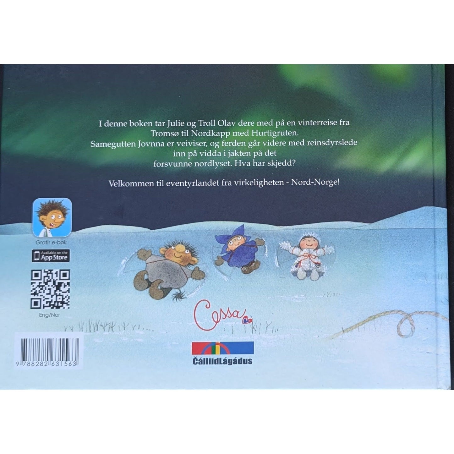 Jakten på Nordlyset, brukte bøker av Cecilie Lanes. Inventaret bokhandel