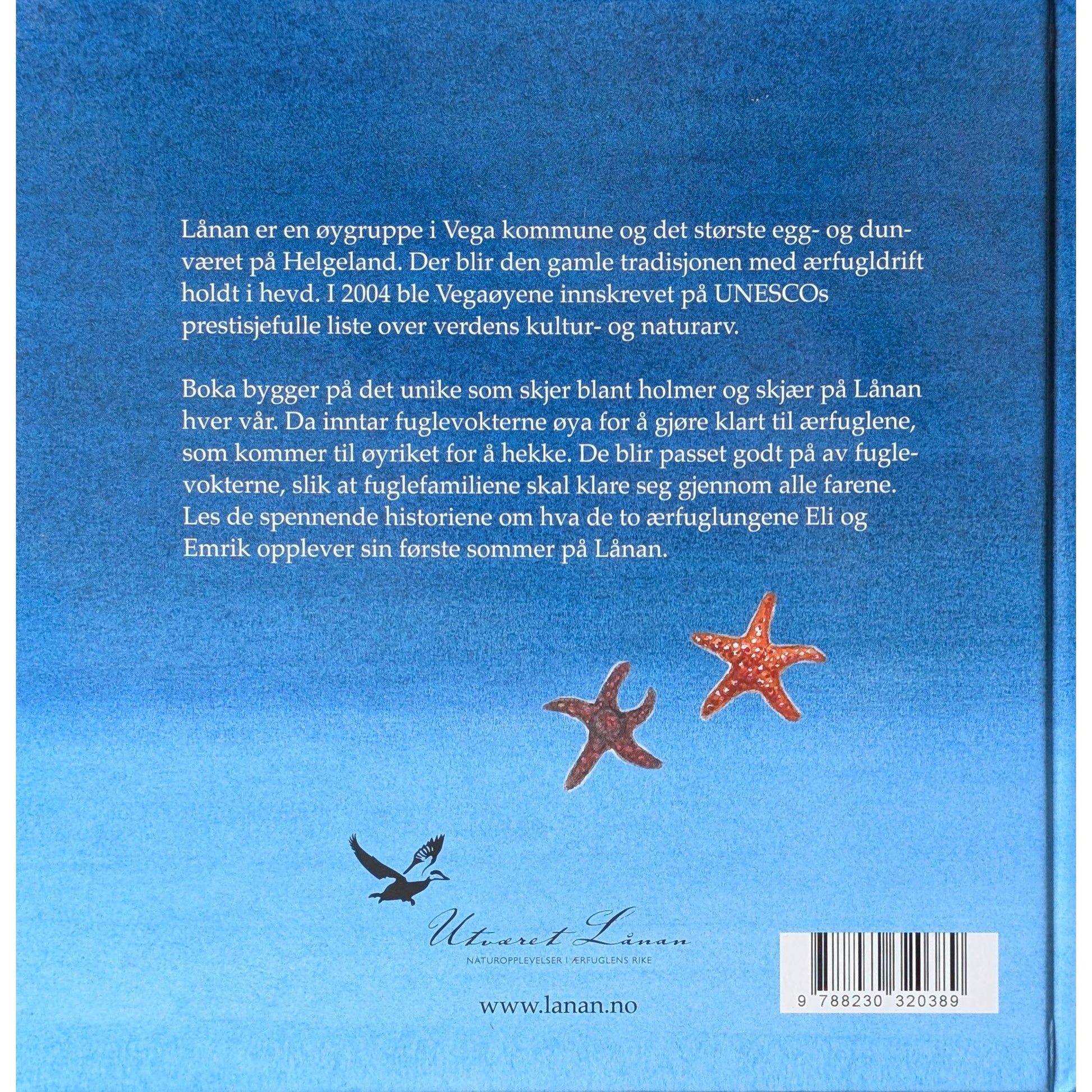 Eli og Emriks eventyrlige sommer på Lånan. Brukte bøker av Trine Gansmoe