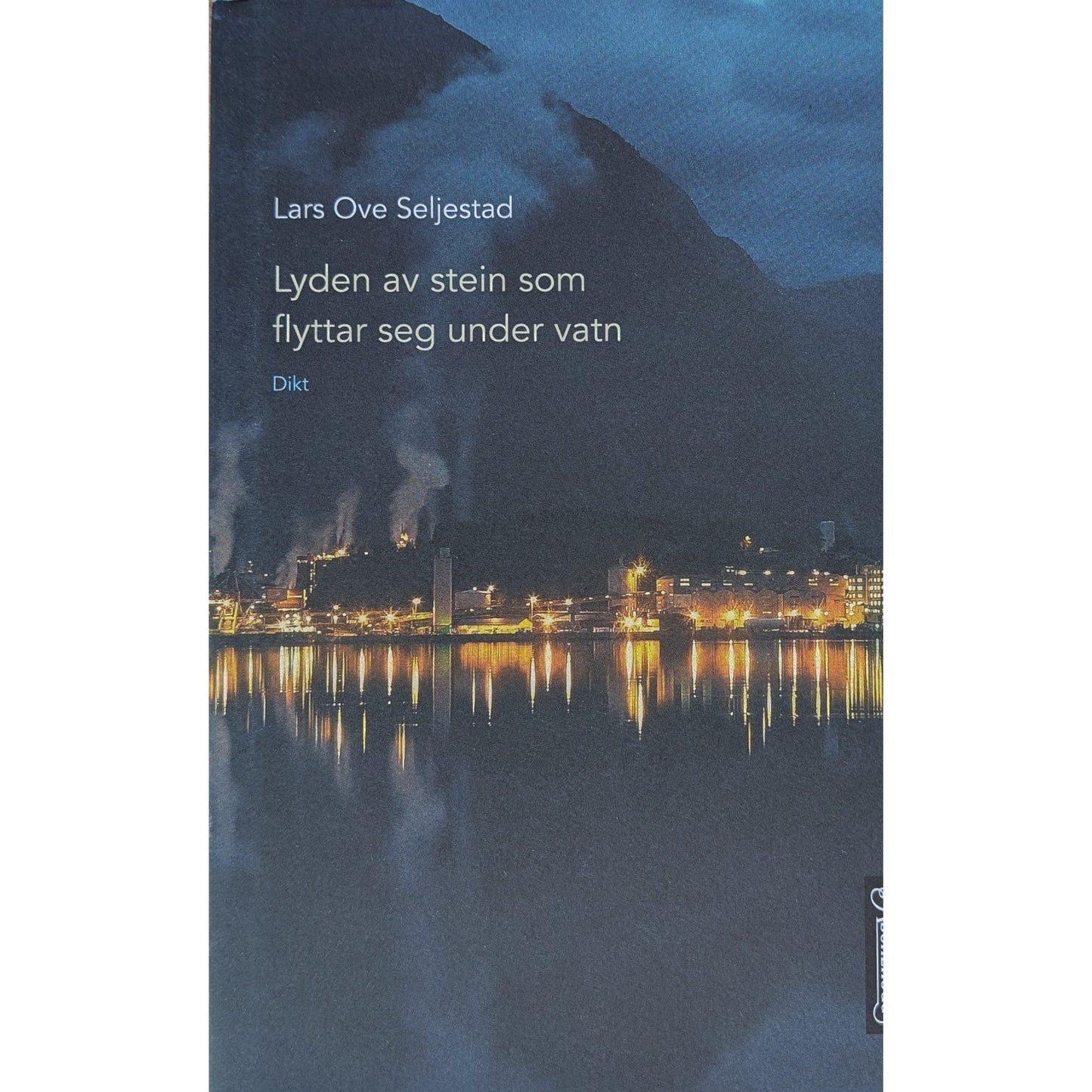 Lyden av stein som flyttar seg under vann.  Brukte bøker av Lars Ove Seljestad