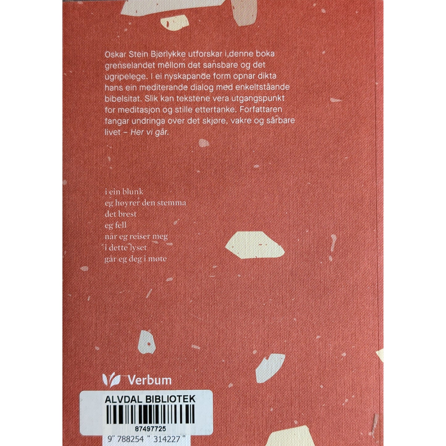 Her vi går. Brukte bøker av Oskar Stein Bjørlykke. Inventaret bokhandel