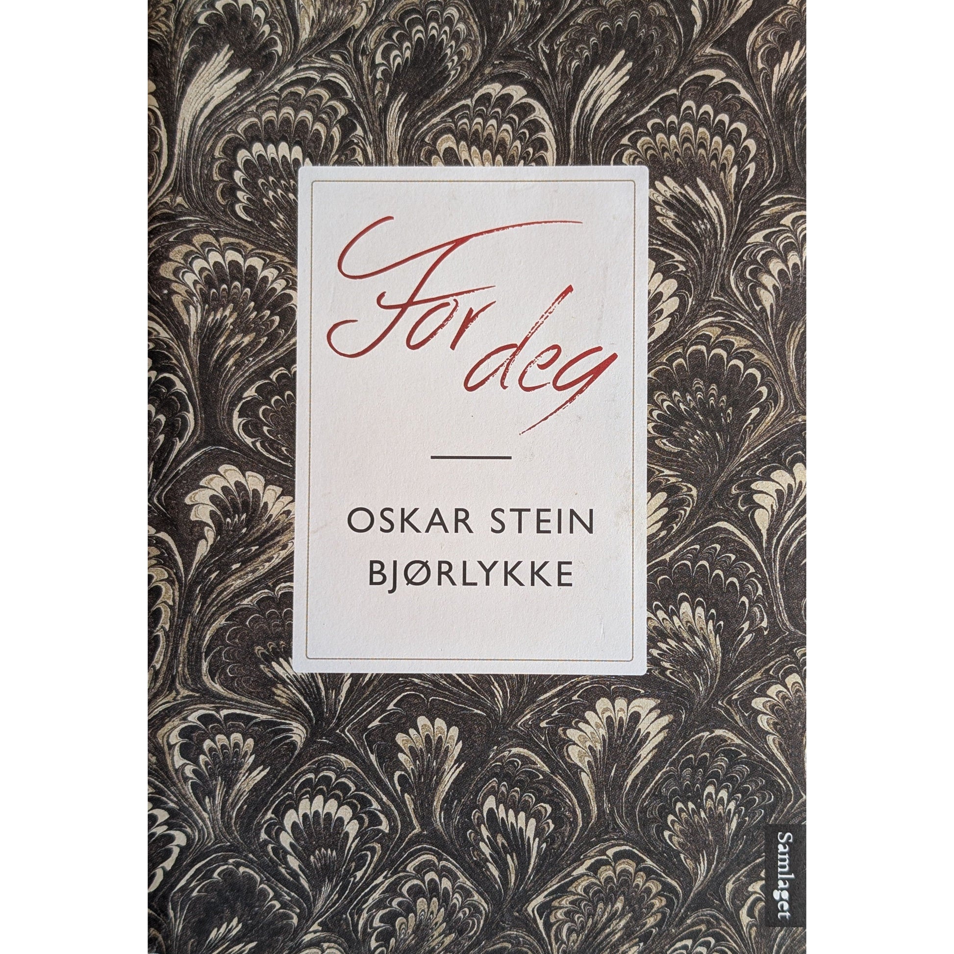 For deg. Brukte bøker av Oskar Stein Bjørlykke. Inventaret bokhandel