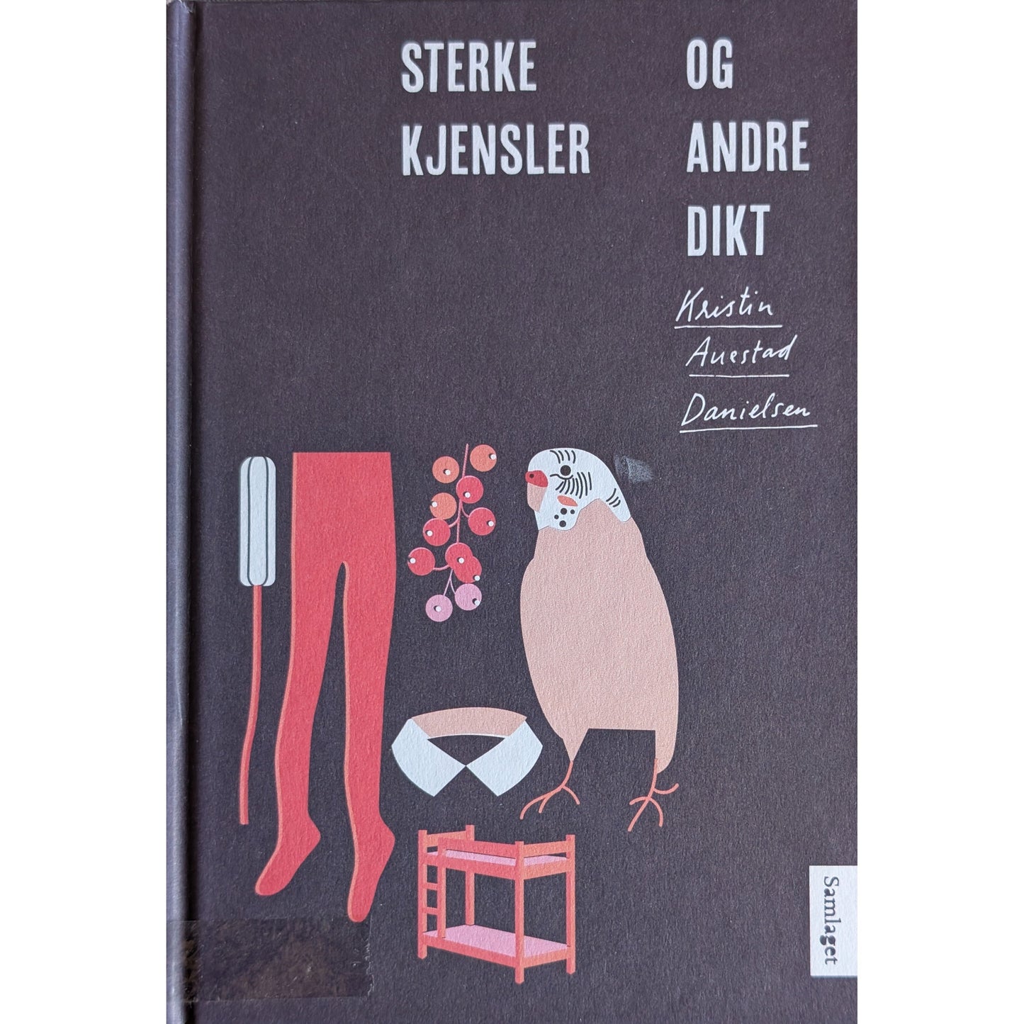 Sterke kjensler og andre dikt. Brukte bøker av Kristin Auestad Danielsen. 