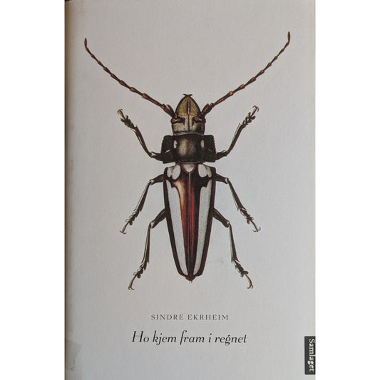 Ho kjem fram i regnet. Brukte bøker av Sindre Ekrheim. Inventaret bokhandel