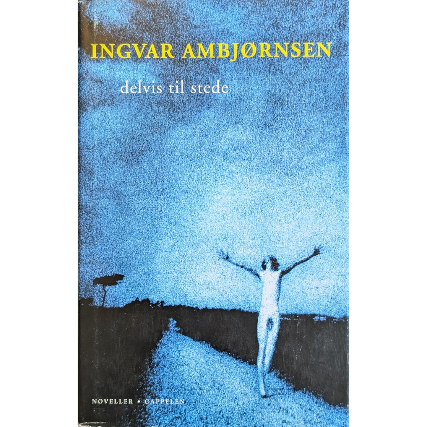 Delvis til stede, brukte bøker av Ingvar Ambjørnsen. Bruktbokhandel