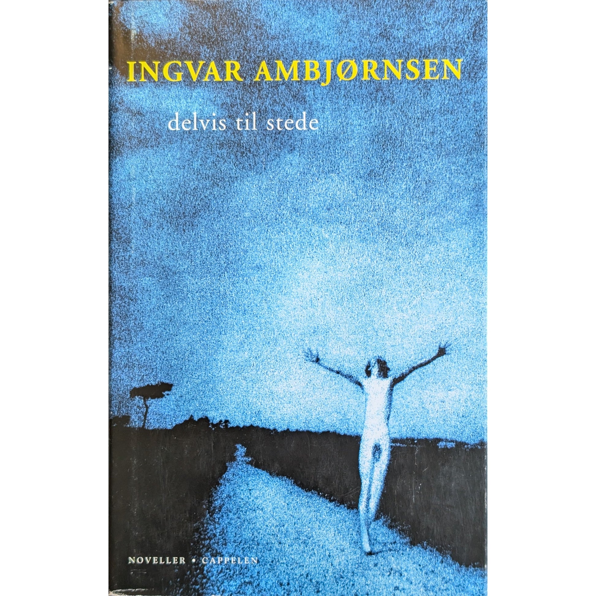 Delvis til stede, brukte bøker av Ingvar Ambjørnsen. Bruktbokhandel