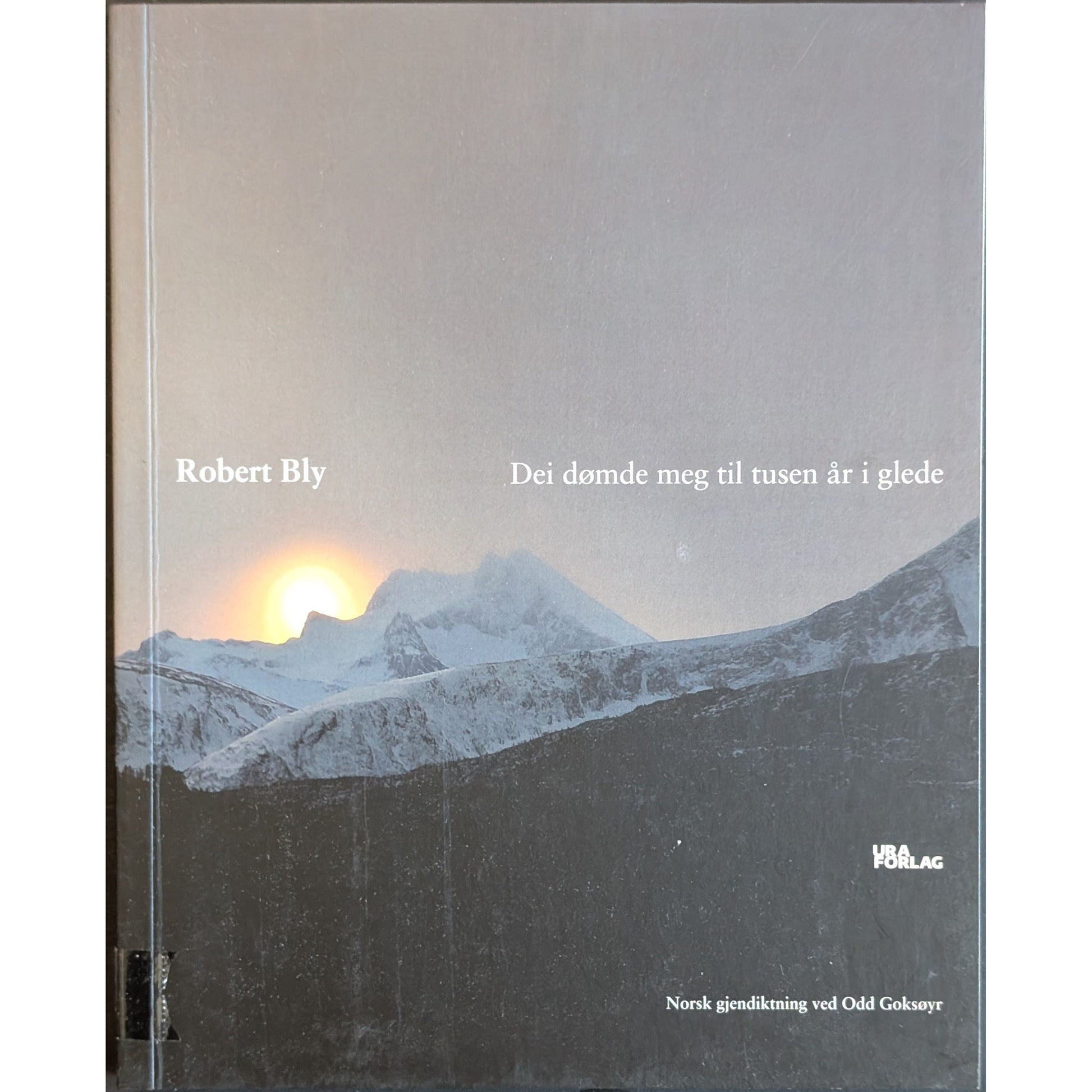 Dei dømde meg til tusen år i glede. Brukte bøker av Robert Bly. 