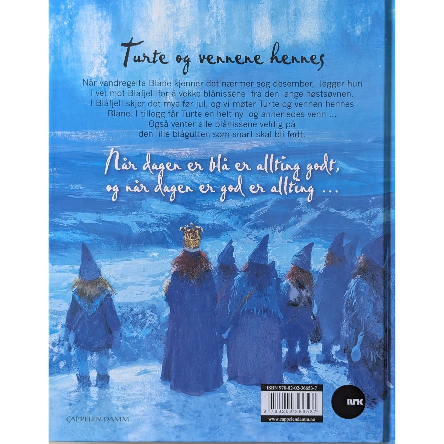 Jul i Blåfjell - Turte og vennene hennes, brukte bøker av Gudny Ingebjørg Hagen