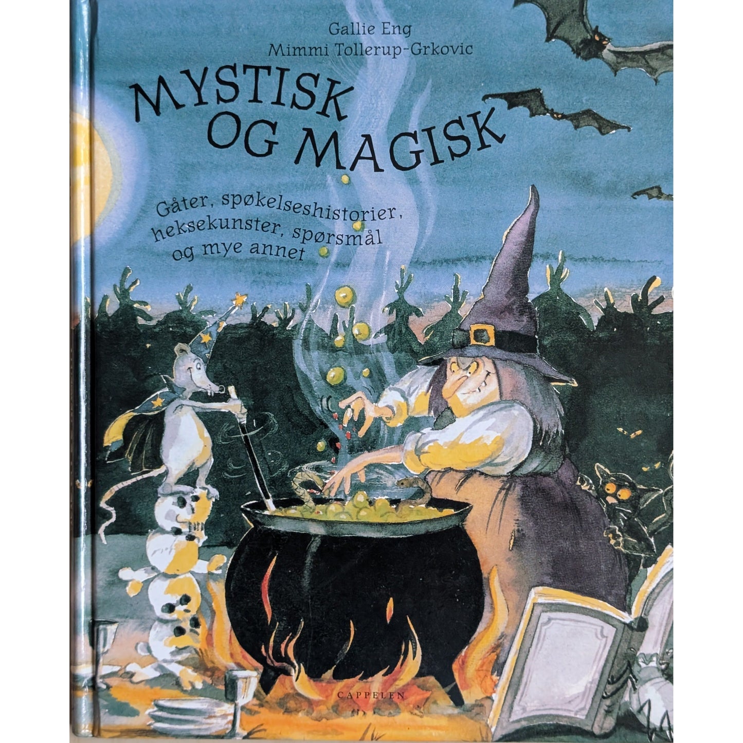 Mystisk og magisk. Brukte bøker av Gallie Eng. Inventaret bruktbokhandel