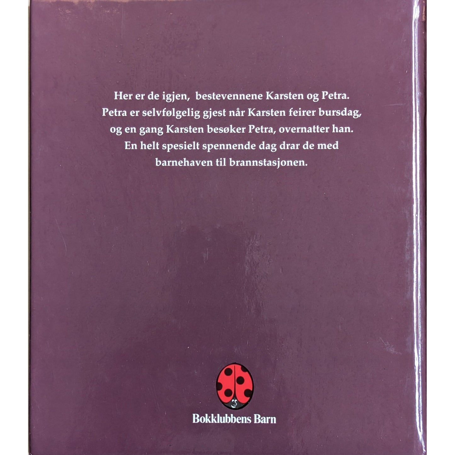 Karsten og Petra - 3 bøker i 1, brukte bøker av Tor Åge Bringsværd