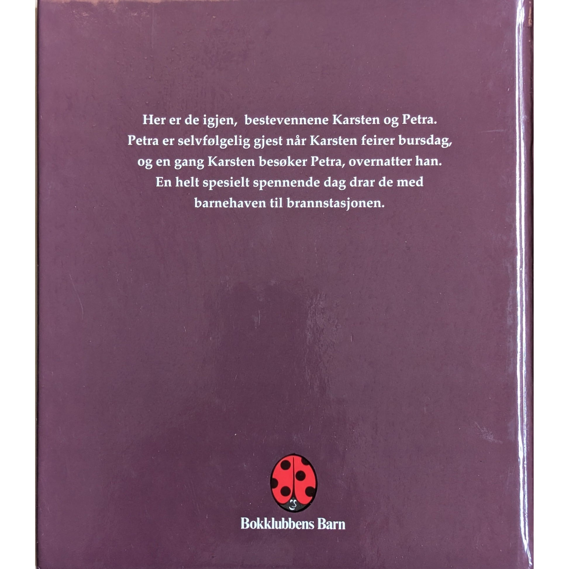 Karsten og Petra - 3 bøker i 1, brukte bøker av Tor Åge Bringsværd