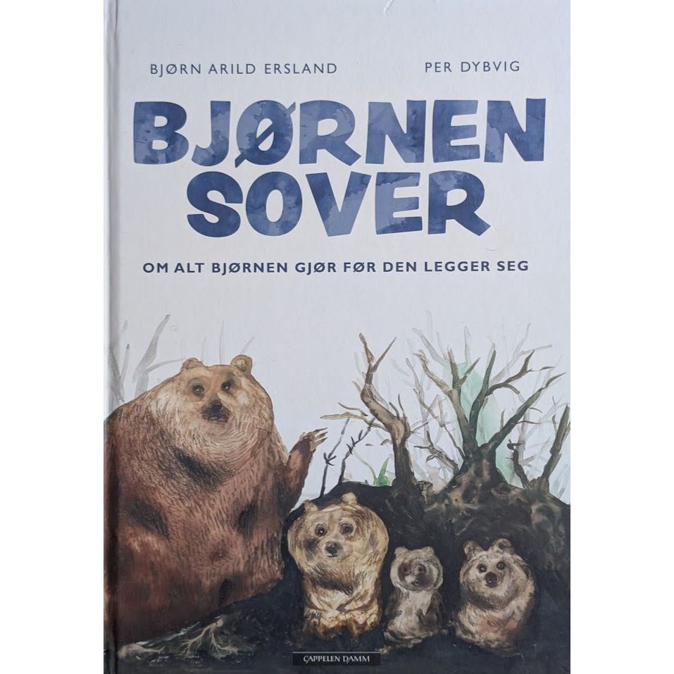 Bjørnen sover, brukte bøker av Bjørn Arild Ersland og Per Dybvig