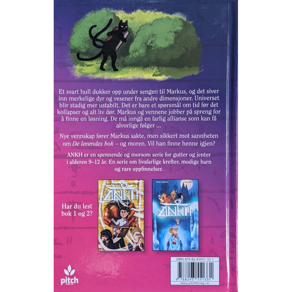 Ankh  3 - Kattekongens jakt, brukte bøker av Monika Steinholm. Bruktbokhandel
