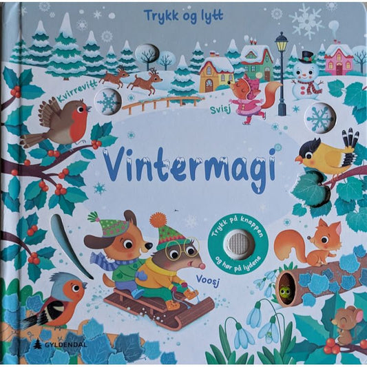 Vintermagi. Brukte bøker med lyd av Frederica Iossa og Sam Taplin