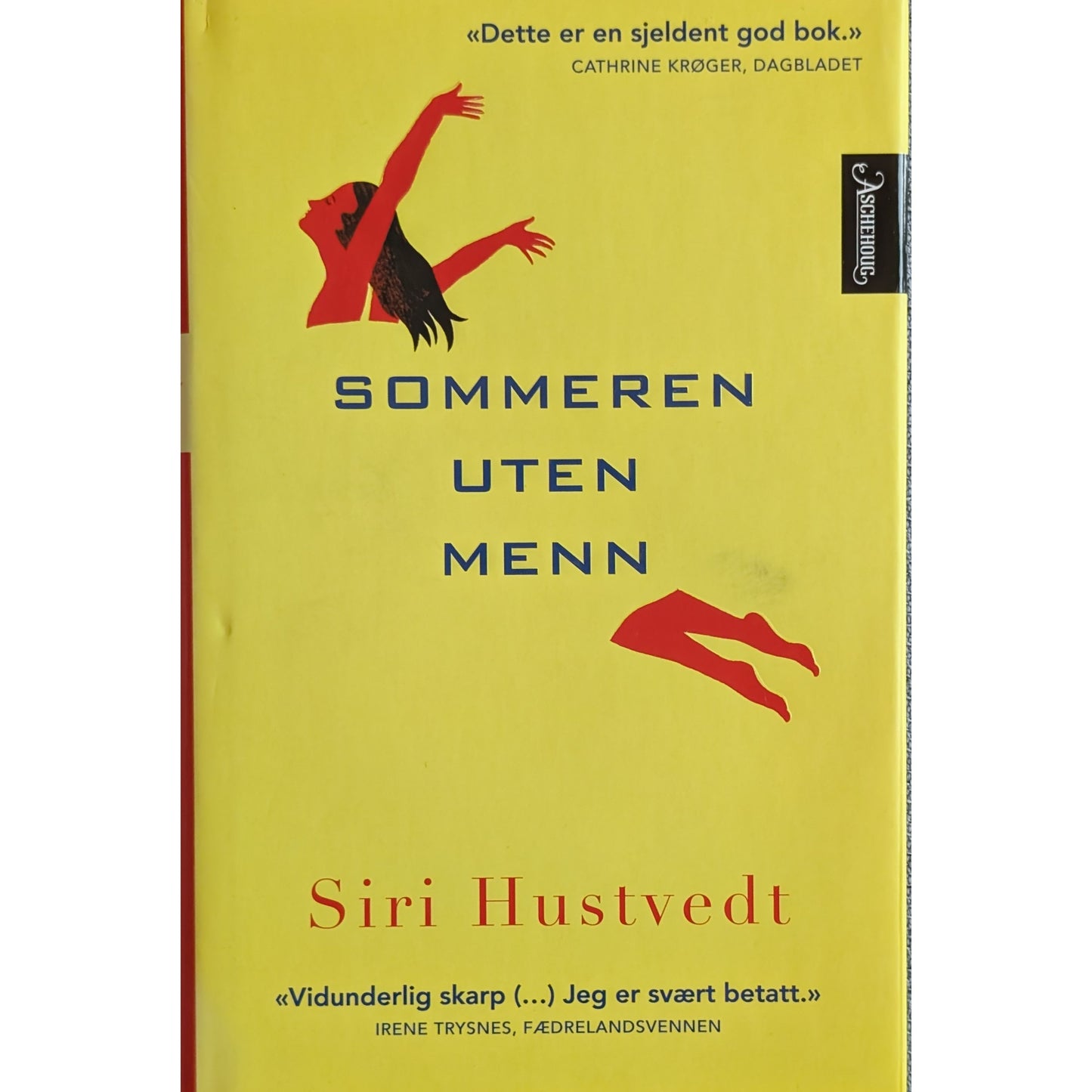 Sommeren uten menn. Brukte bøker av Siri Hustvedt hos Inventaret