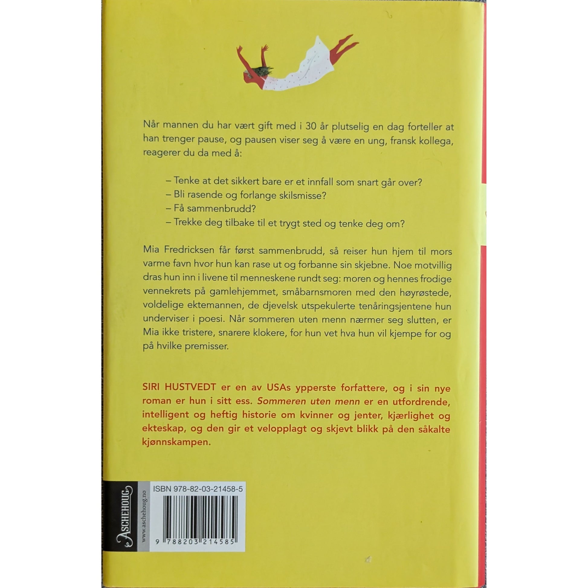 Sommeren uten menn. Brukte bøker av Siri Hustvedt hos Inventaret