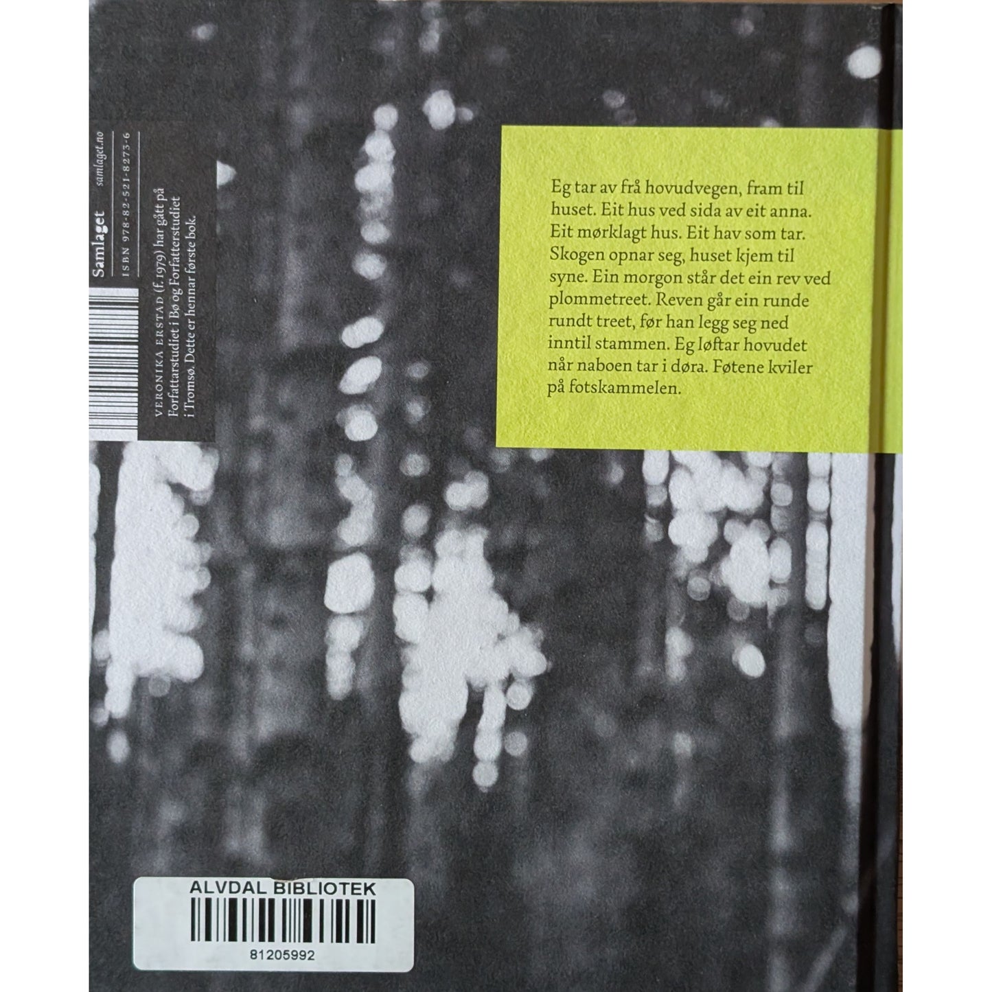 Eg er så nær morgonen eg kan kome. Brukte bøker av Veronika Erstad