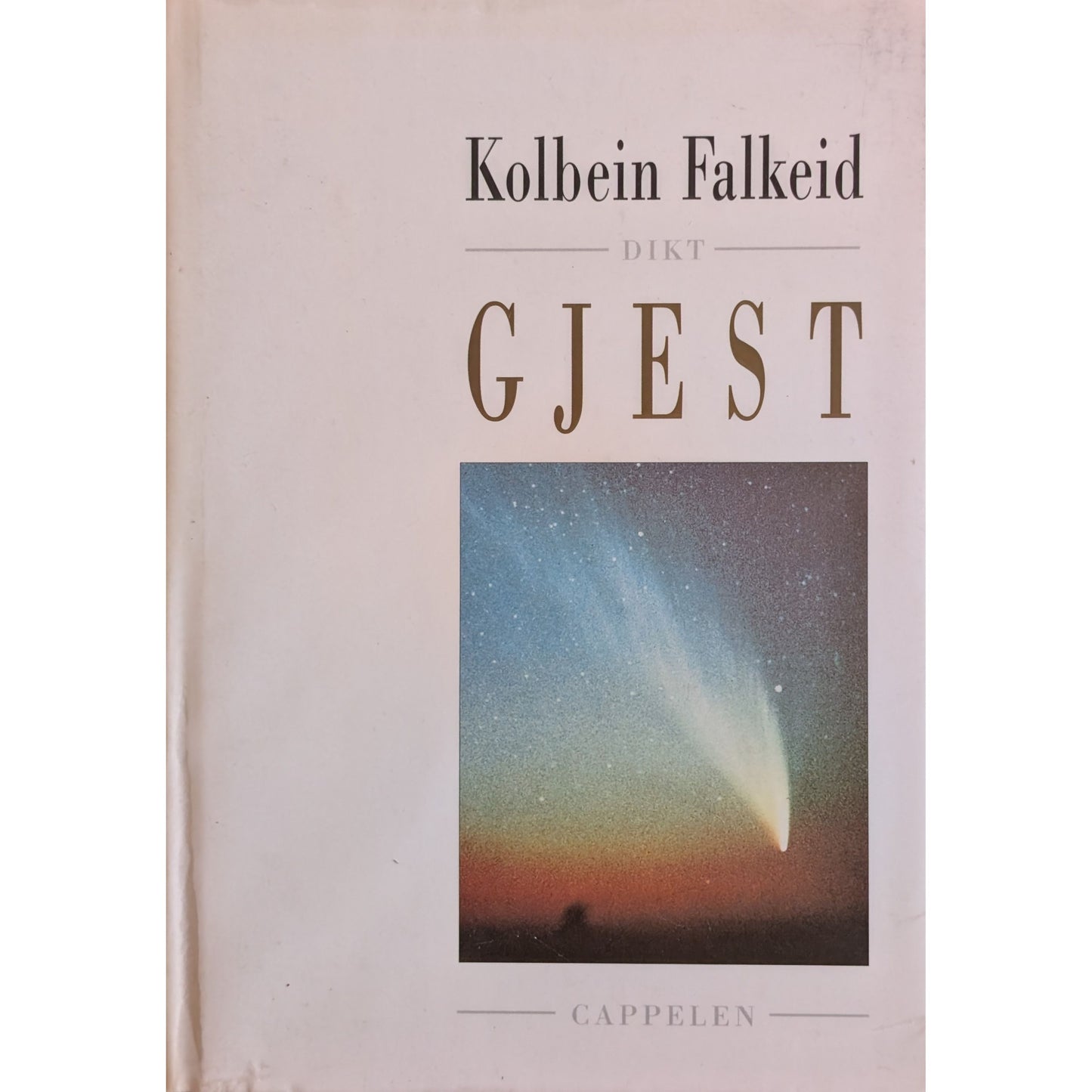 Gjest. Brukte bøker av Kolbein Falkeid. Dikt hos Inventaret