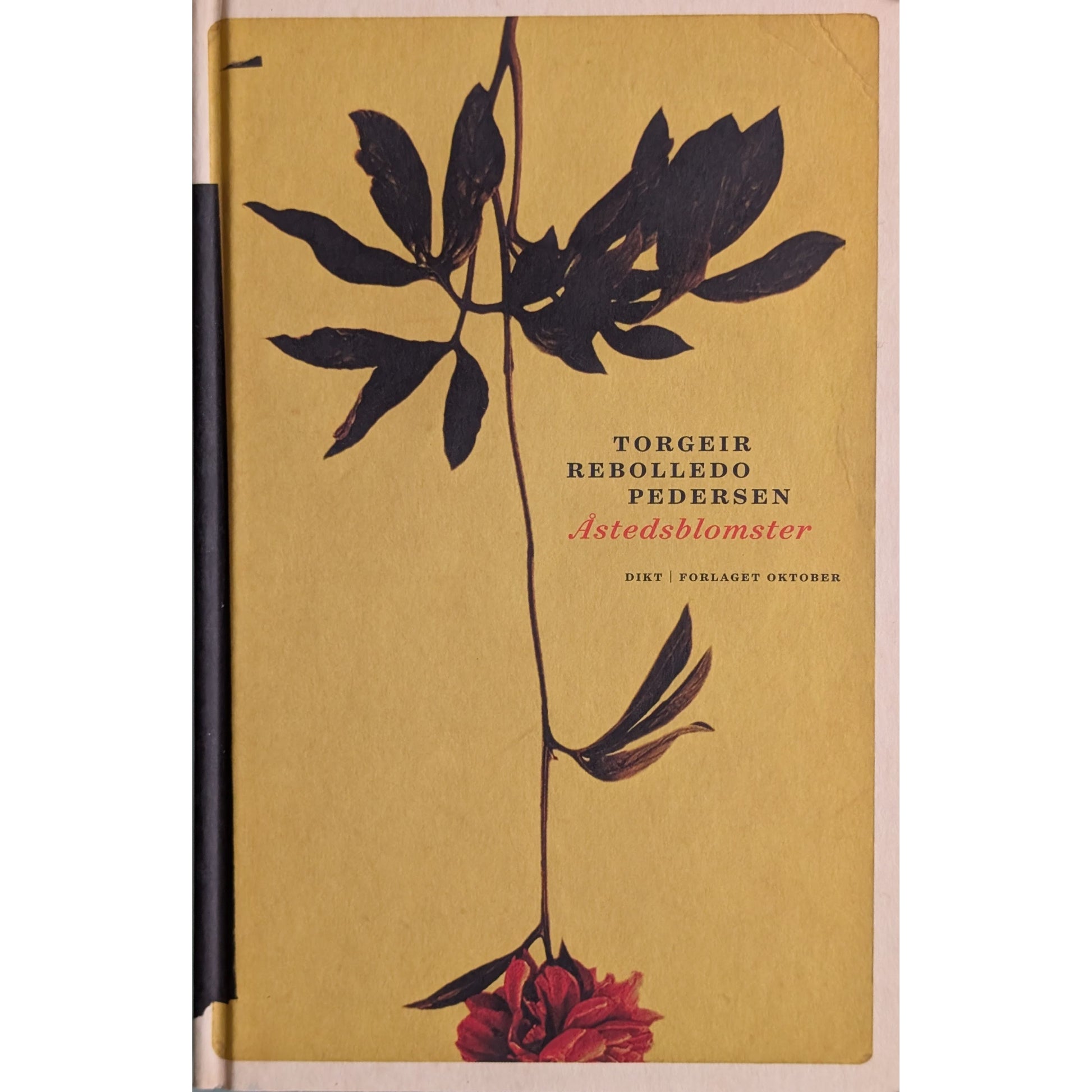 Åstedsblomster. Dikt. Brukte bøker av Torgeir Rebolledo Pedersen