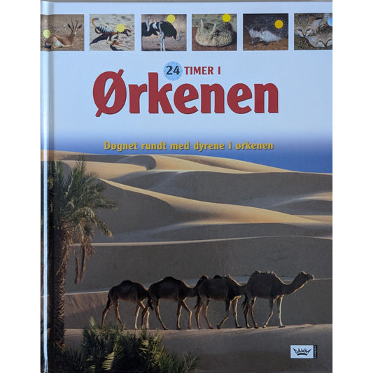 24 timer i ørkenen. Døgnet rundt med dyrene i ørkenen. Brukte faktabøker.