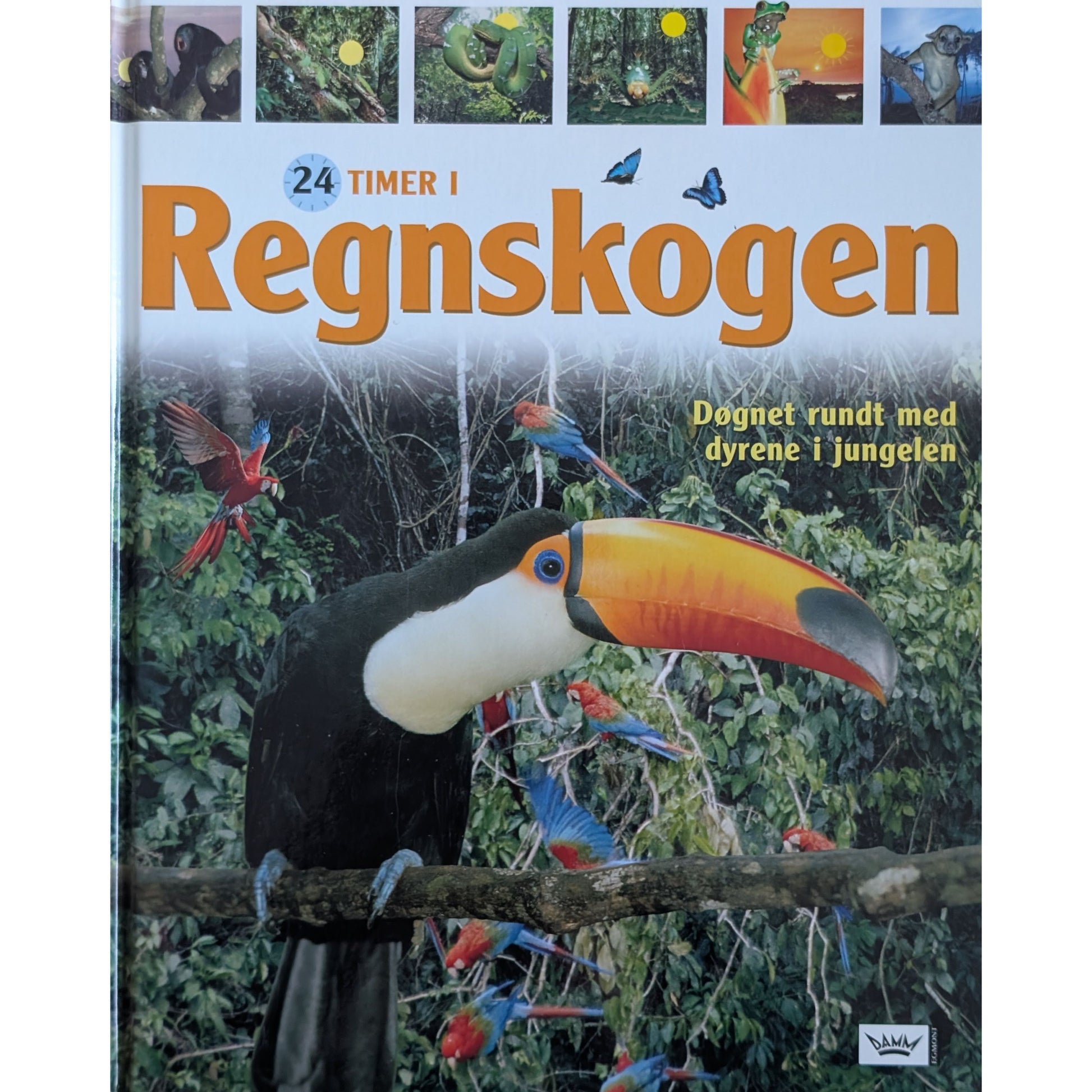 24 timer i regnskogen. Døgnet rundt med dyrene i jungelen. Brukte faktabøker.