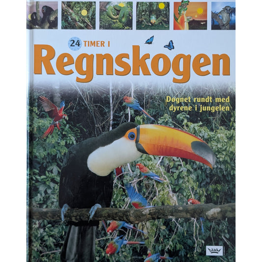 24 timer i regnskogen. Døgnet rundt med dyrene i jungelen. Brukte faktabøker.