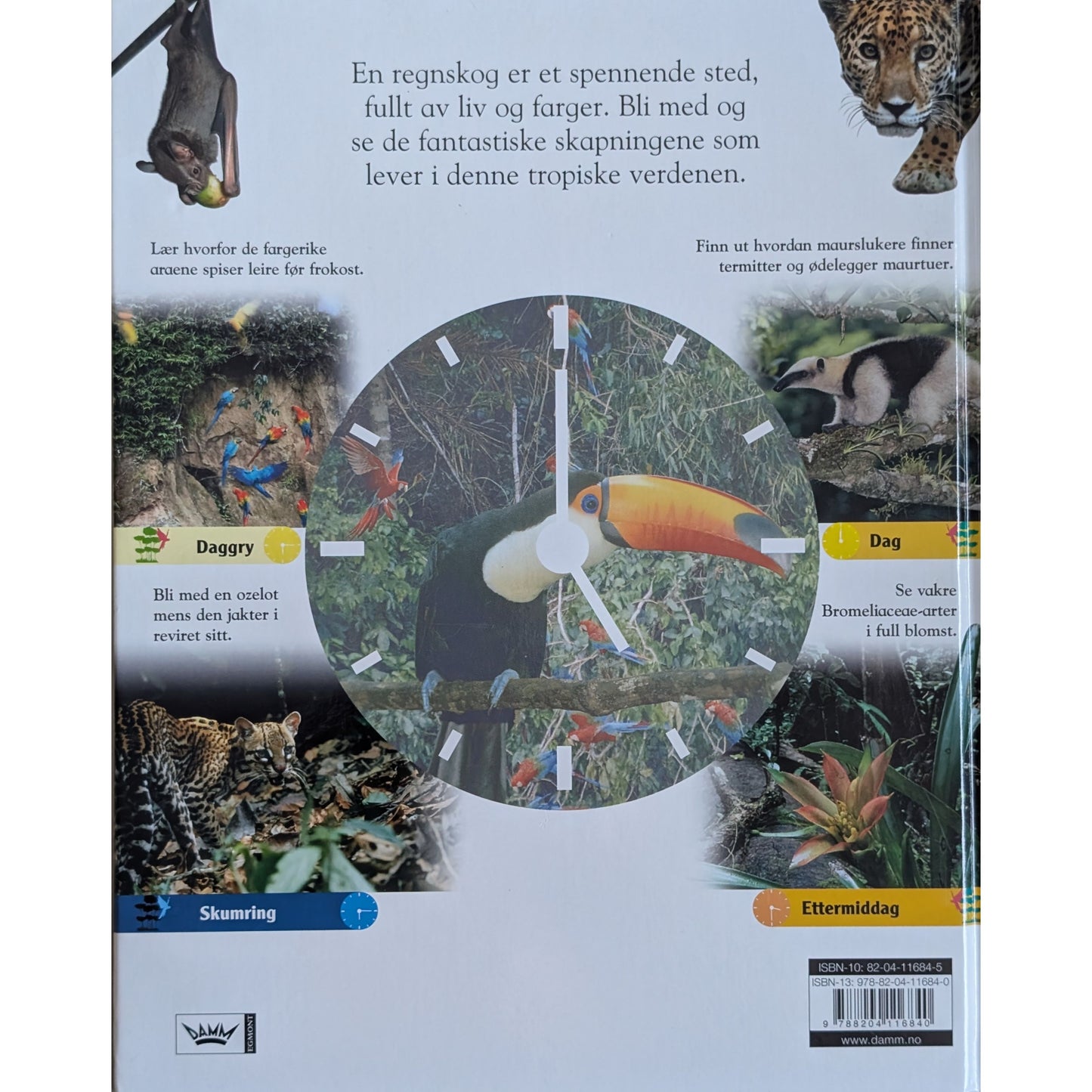 24 timer i regnskogen. Døgnet rundt med dyrene i jungelen. Brukte faktabøker.