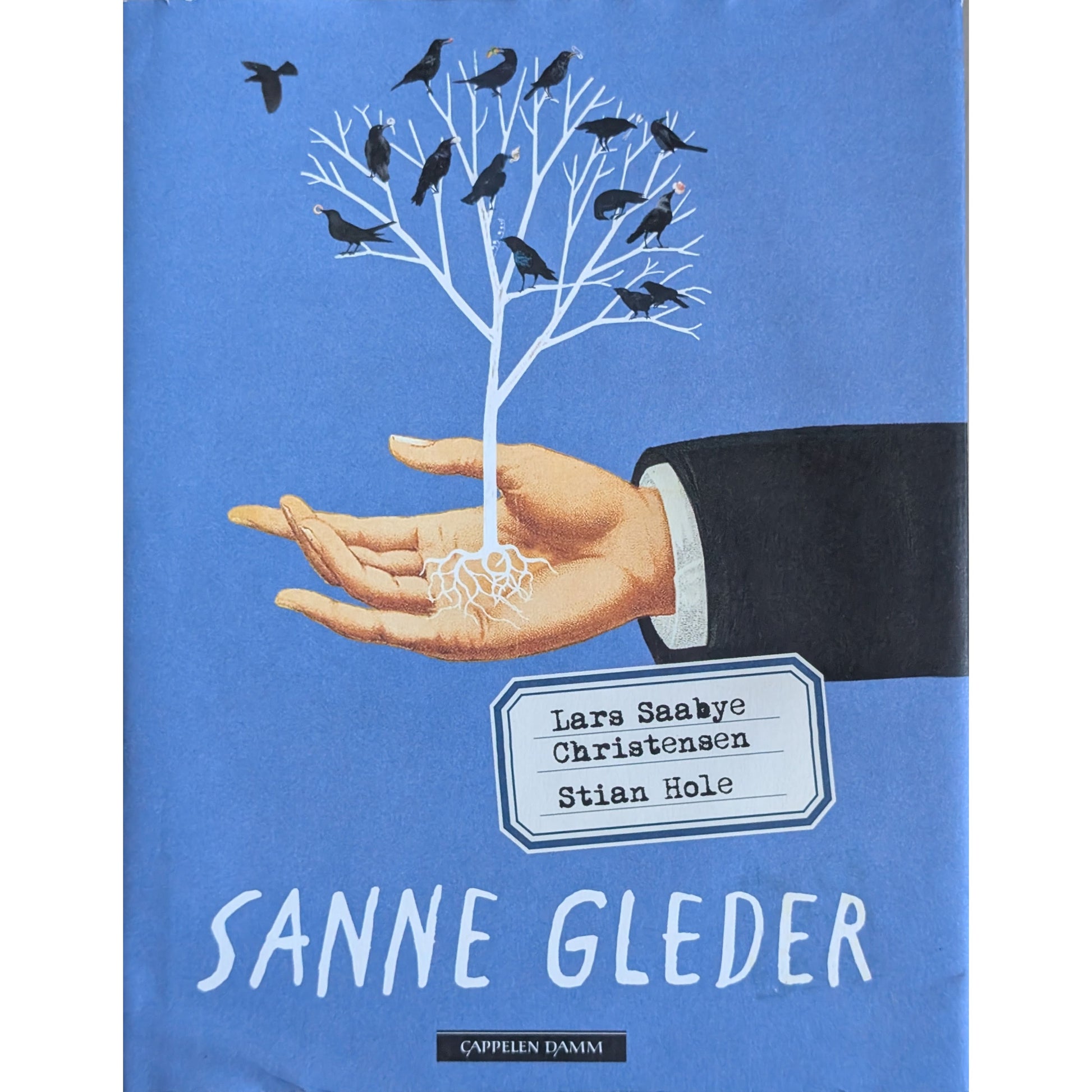 Sanne Gleder. Brukte bøker av Lars Saabye Christensen og Stian Hole