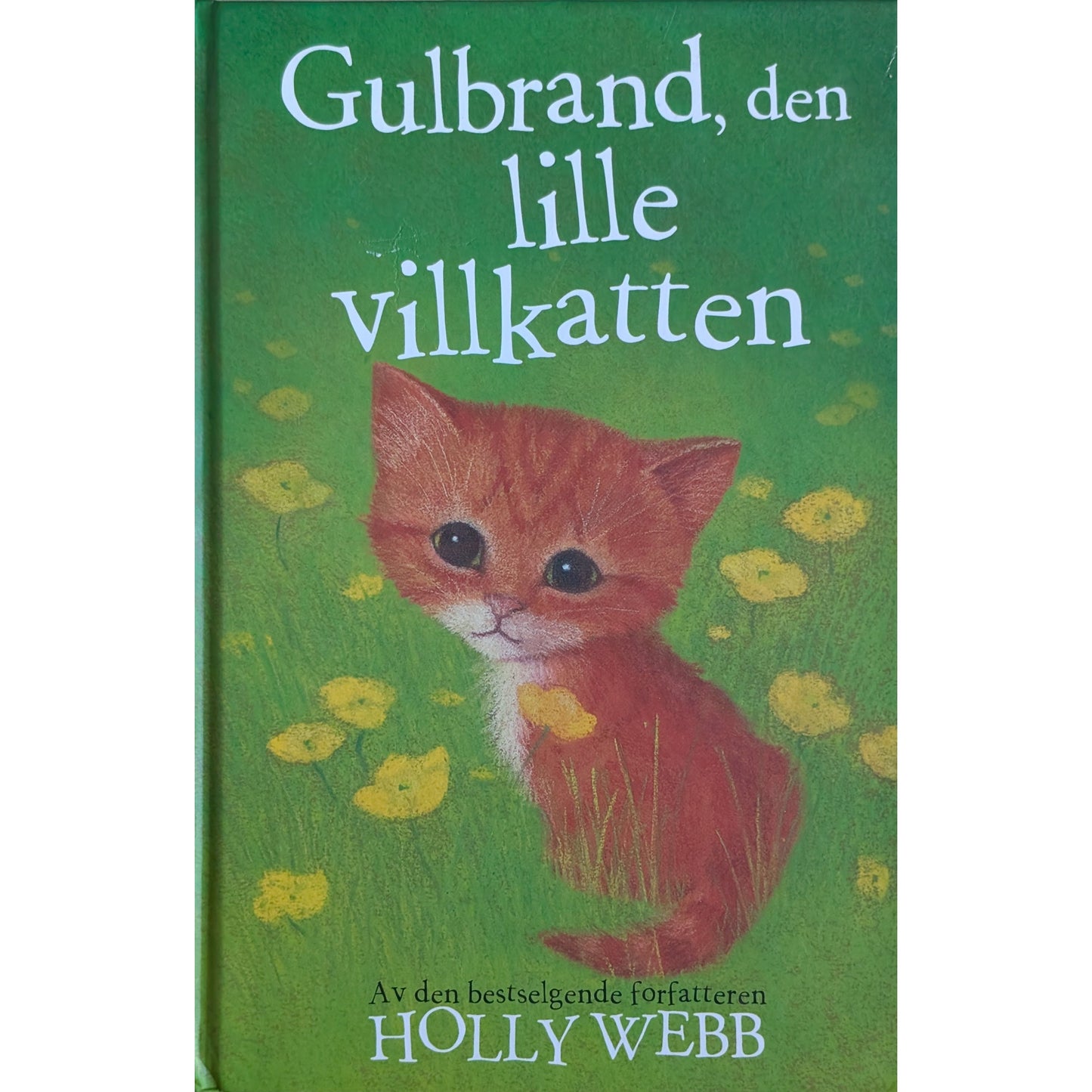 Gulbrand, den lille villkatten - Brukte barnebøker av Holly Webb