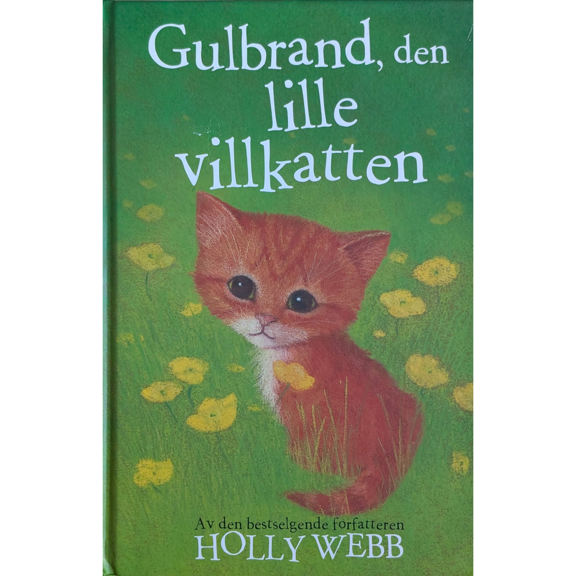Gulbrand, den lille villkatten - Brukte barnebøker av Holly Webb