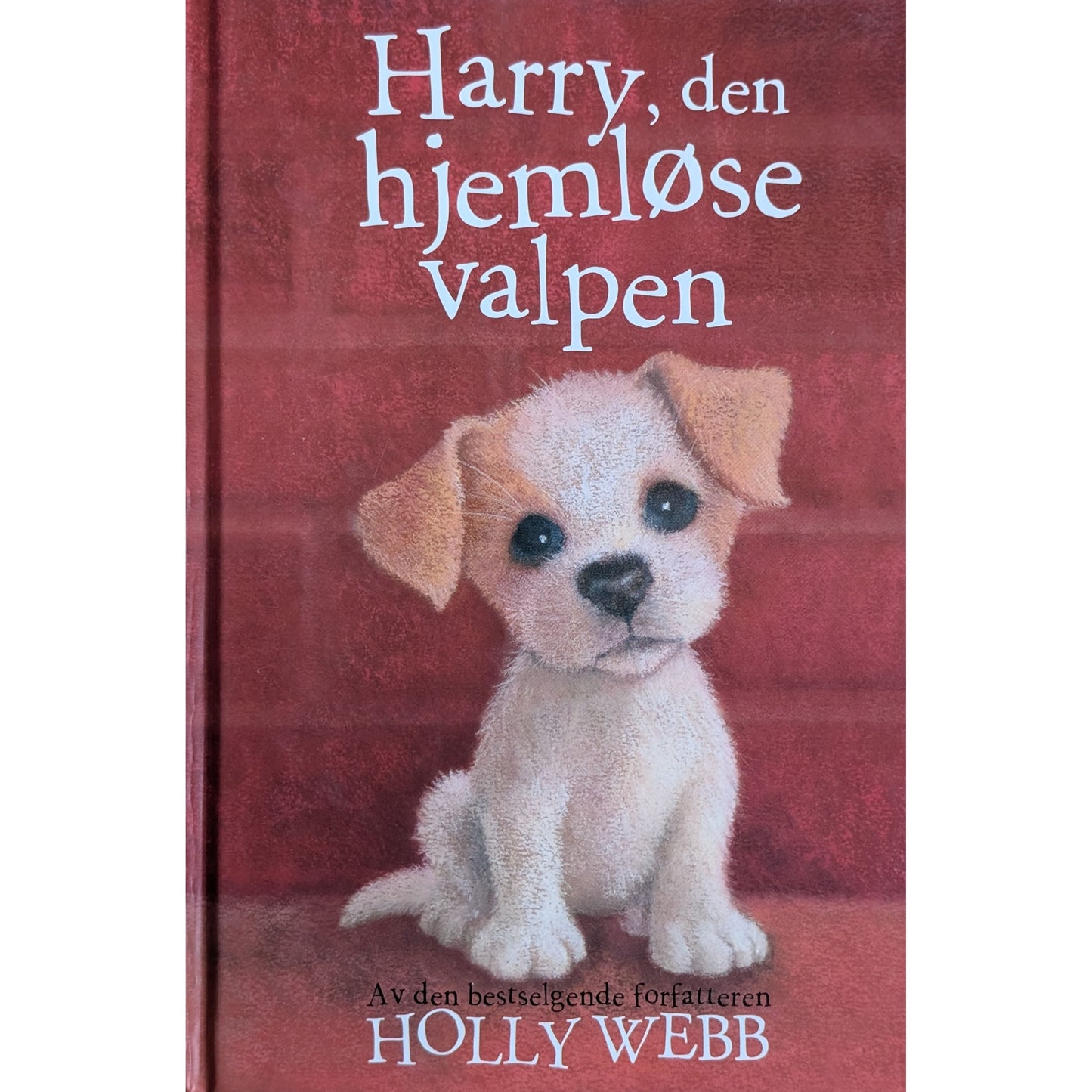 Harry, den hjemløse valpen- Brukte barnebøker av Holly Webb