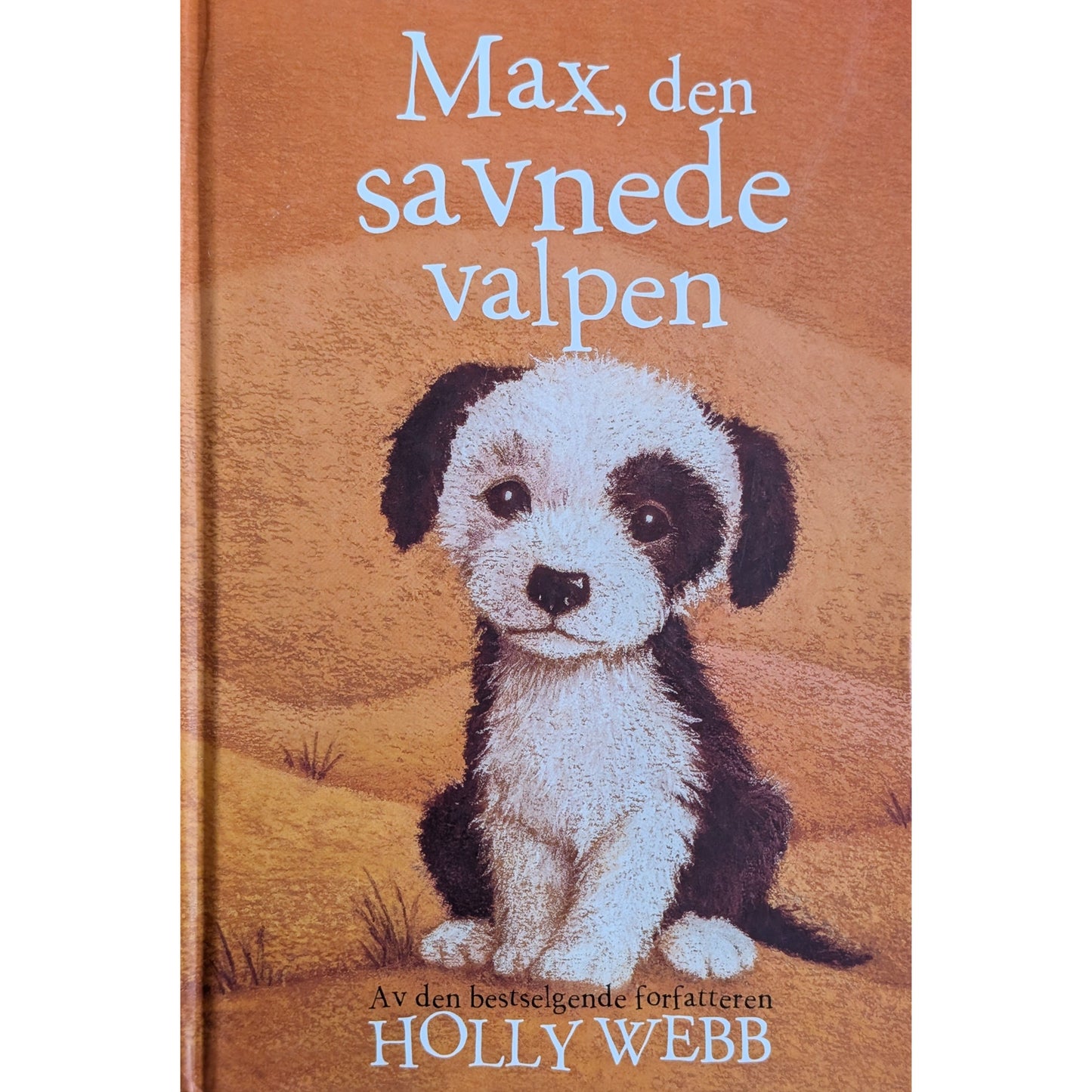 Harry, den hjemløse valpen- Brukte barnebøker av Holly Webb