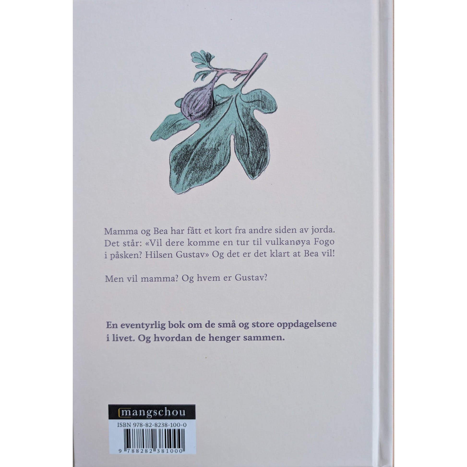 Fikenvulkanen. Barnebok av Birgitta Nilsson og Åshild Irgens