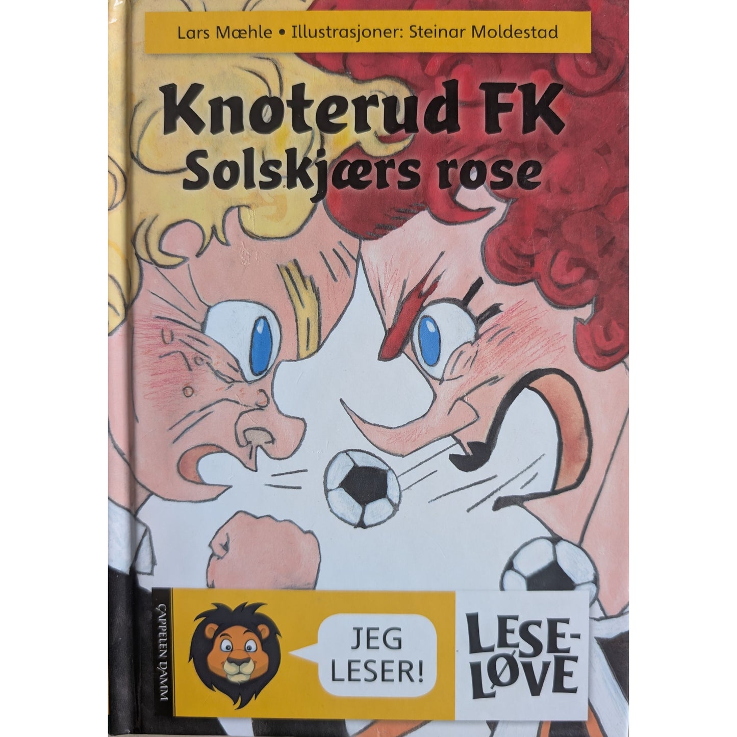 Knoterud FK. Solskjærs rose. Brukte bøker av Lars Mæhle. Leseløve