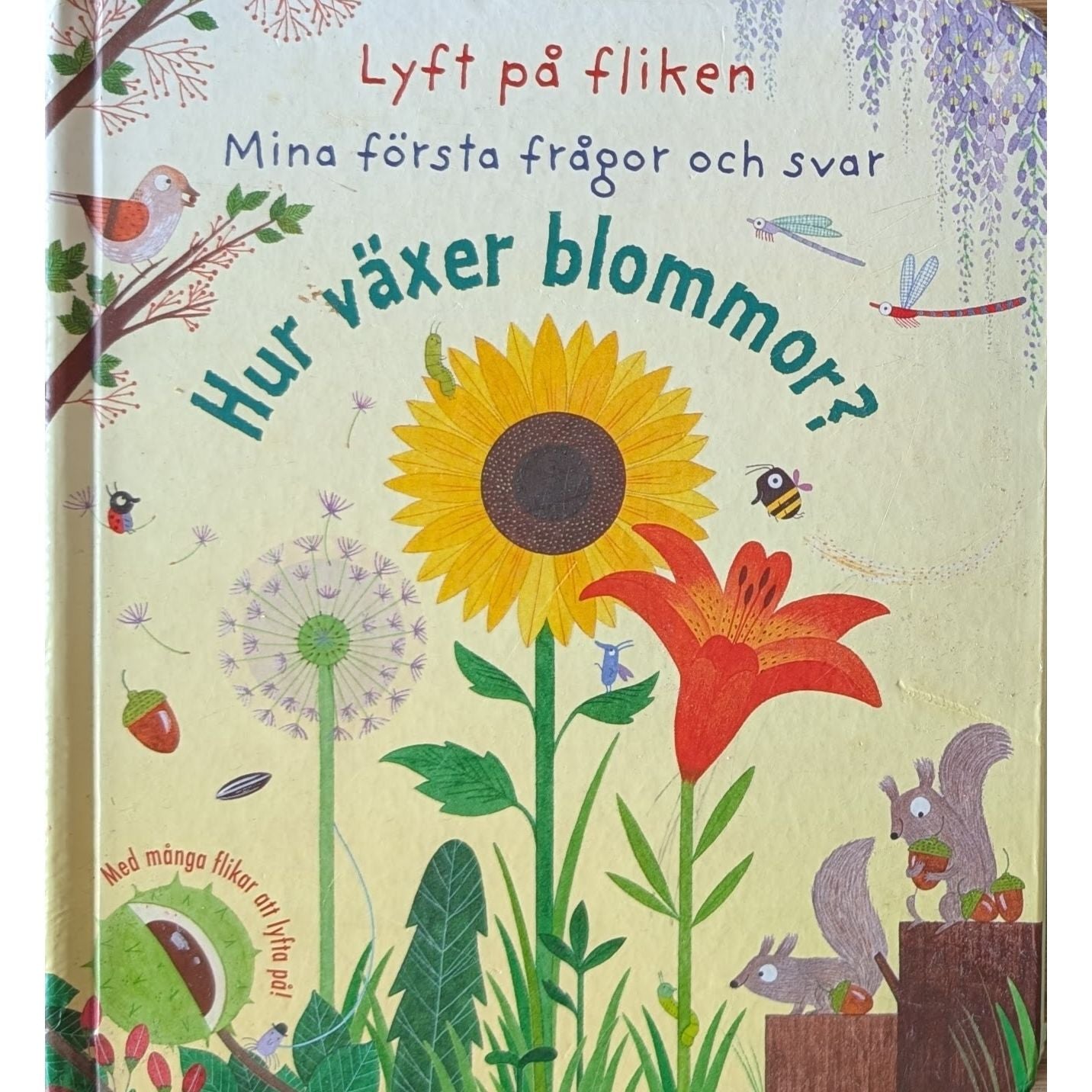 Hur växer blommor? brukte bøker i Mina första frågor och svar - serien