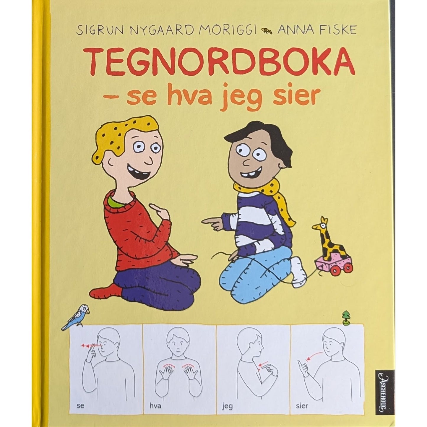  Tegnordboka - se hva jeg sier, brukte bøker av Sigrun Nygaard Moriggi