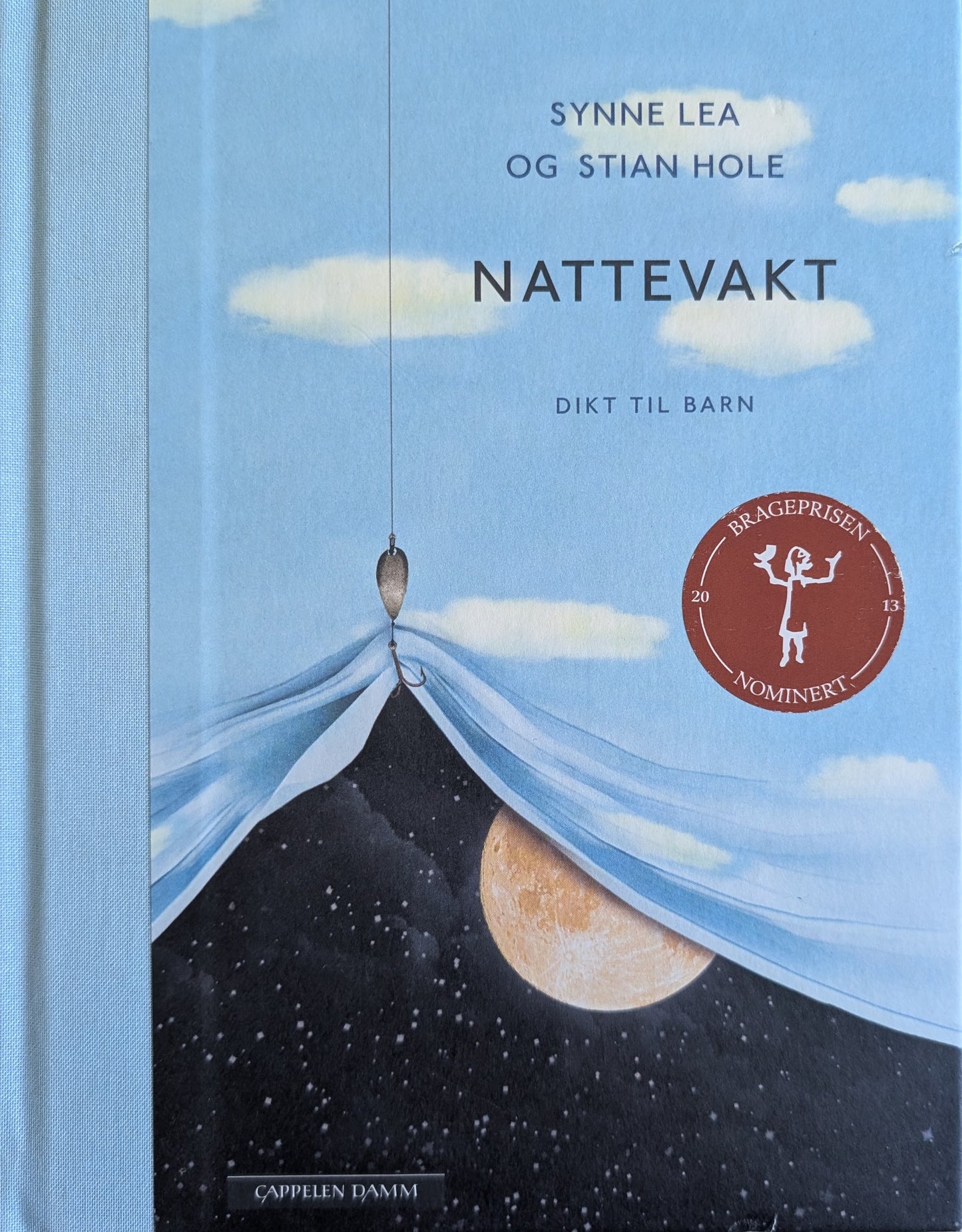 Nattevakt. Dikt til barn, brukte bøker av Synne Lea og Stian Hole