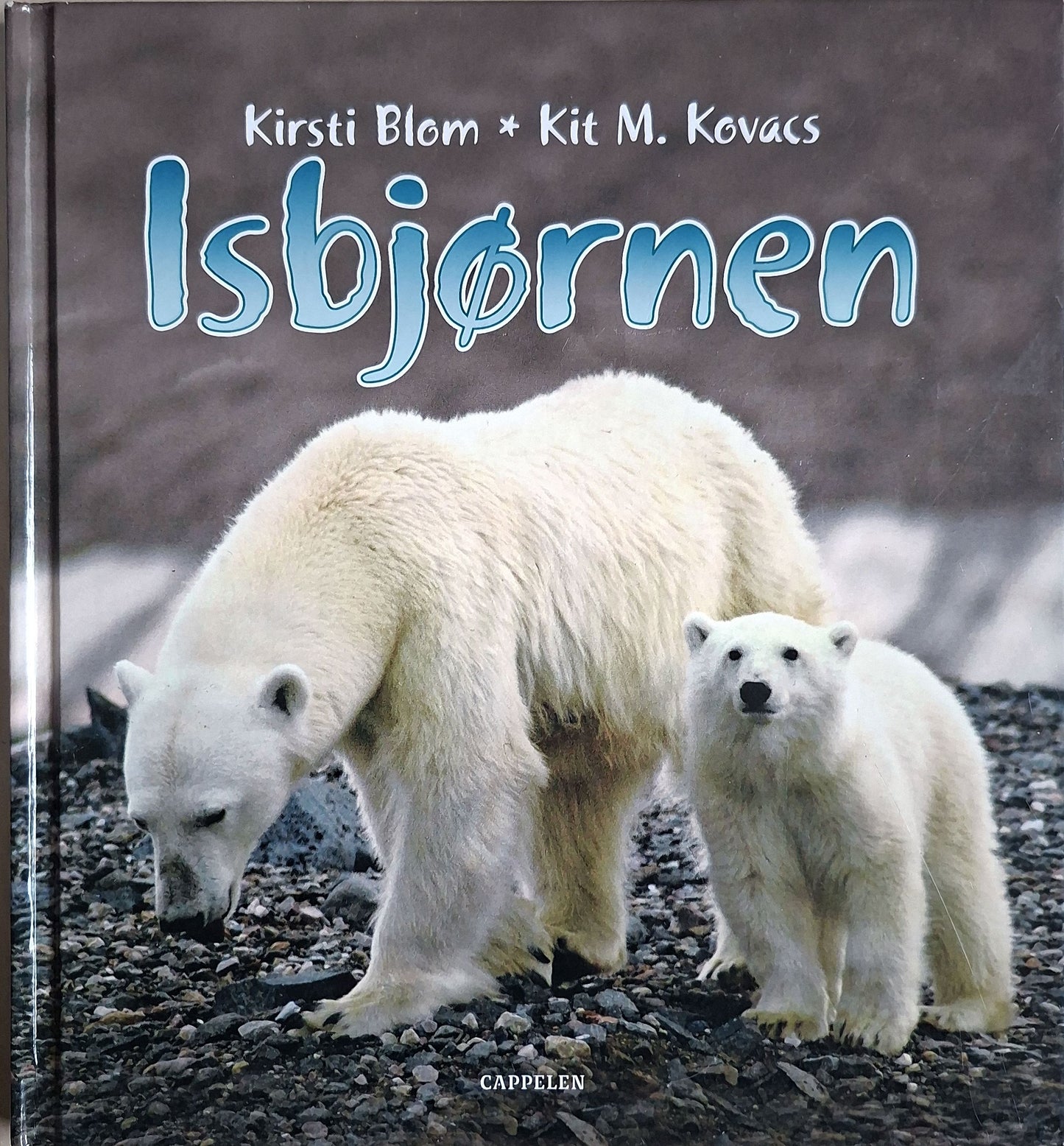 Isbjørnen, brukte bøker av Kirsti Blom