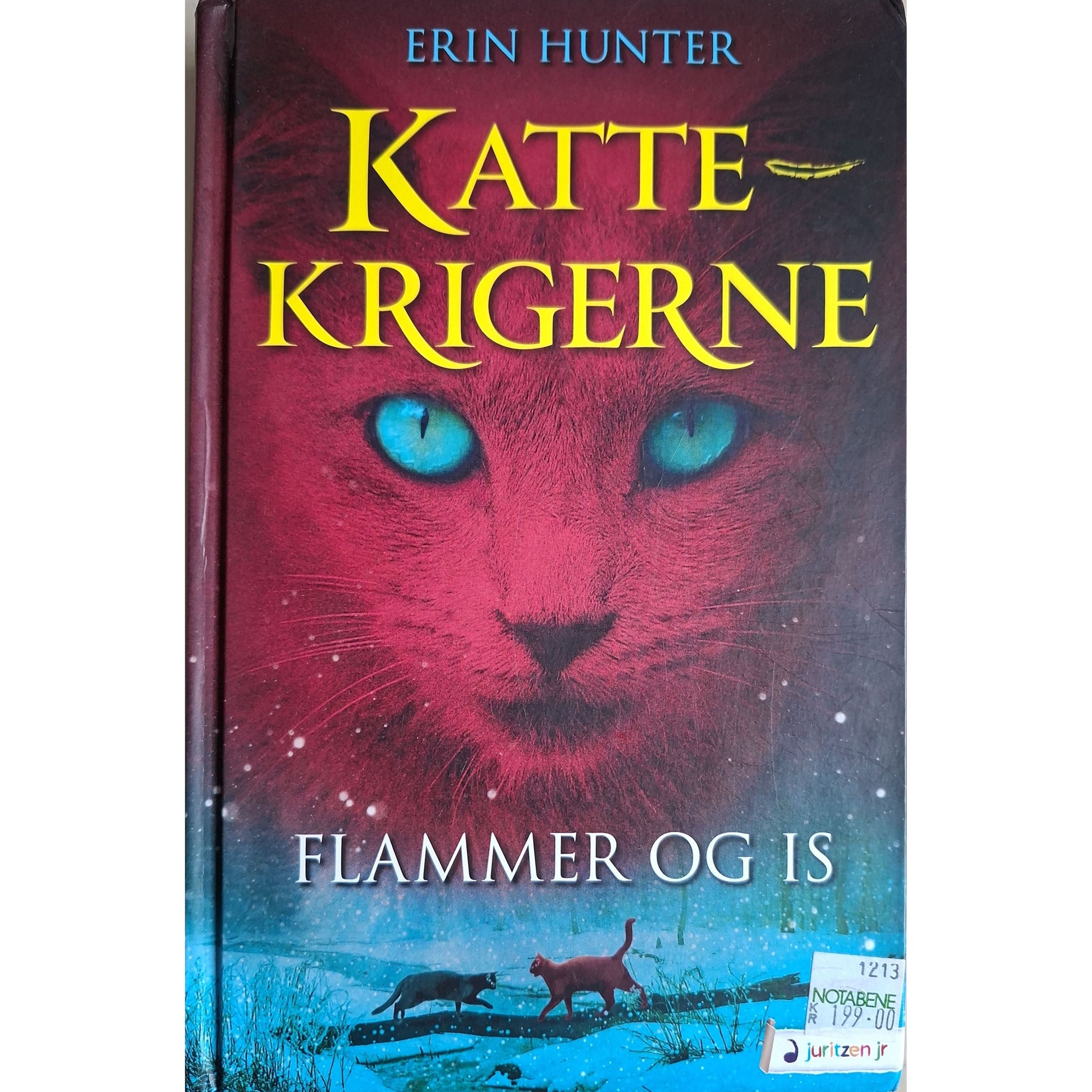 Brukte barnebøker av Erin Hunter: Flammer og is - Kattekrigerne serie 1 - bok 2