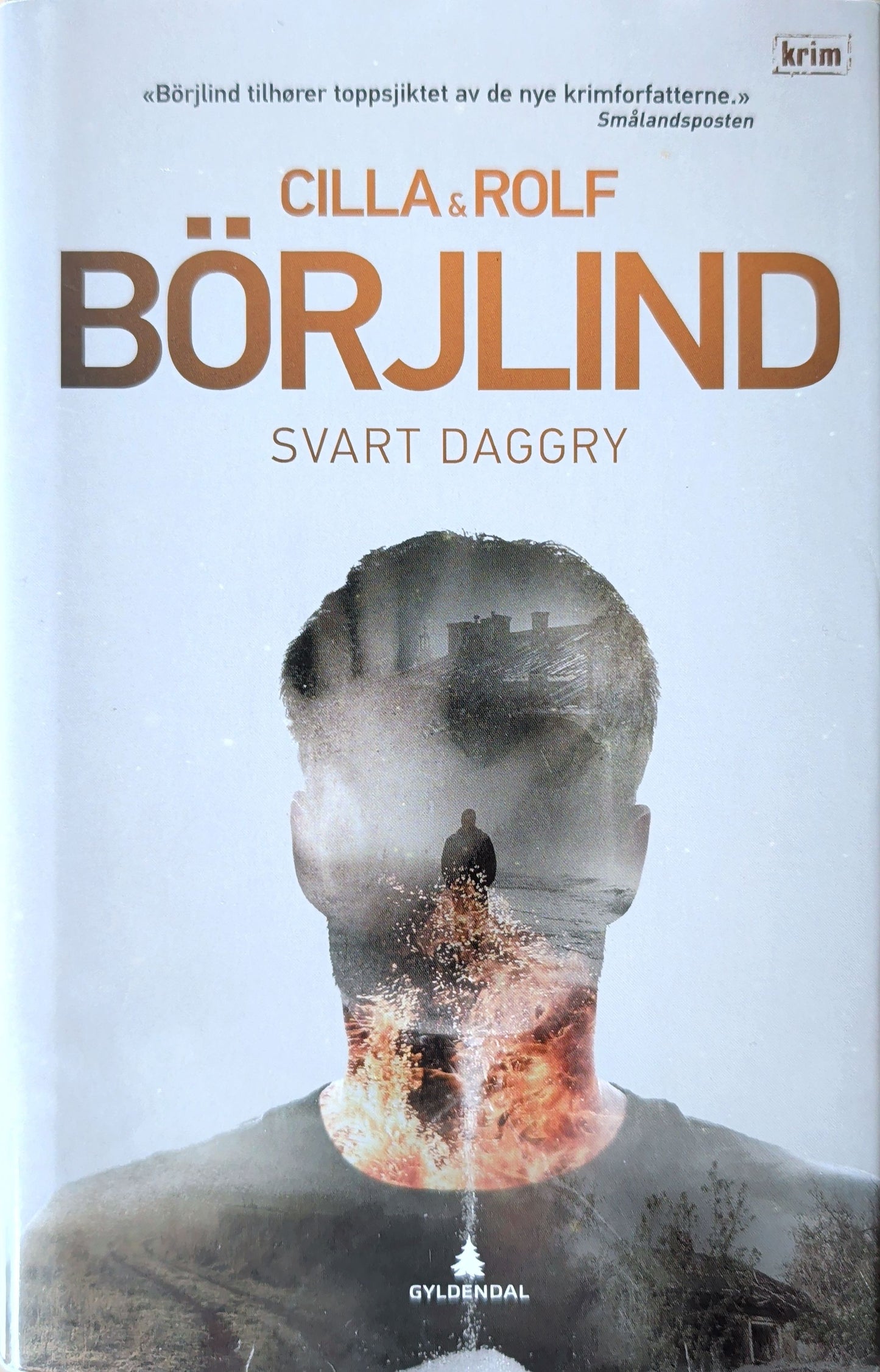 Olivia Rönning & Tom Stilton 3 - Svart daggry, brukte bøker av Cilla & Rolf Börjlind