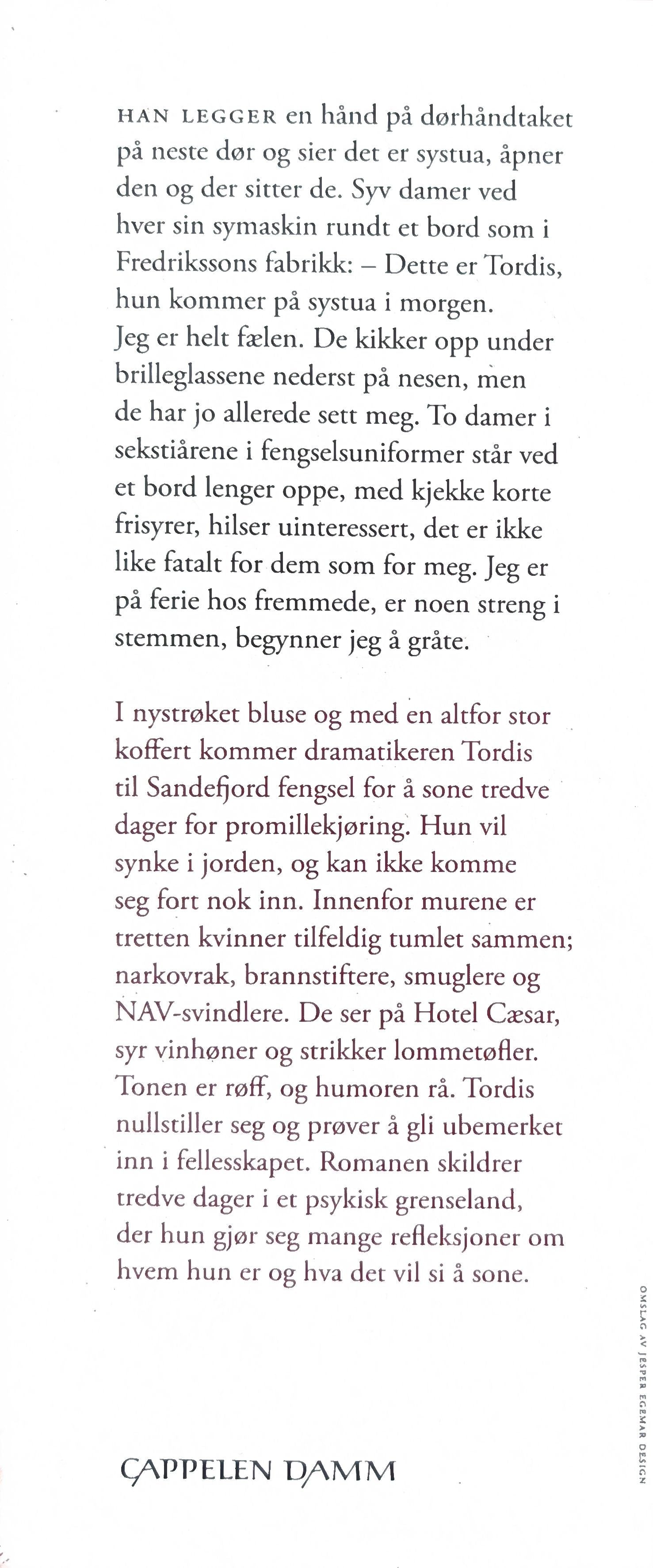 Tredve dager i Sandefjord. Brukte bøker av Vigdis Hjort
