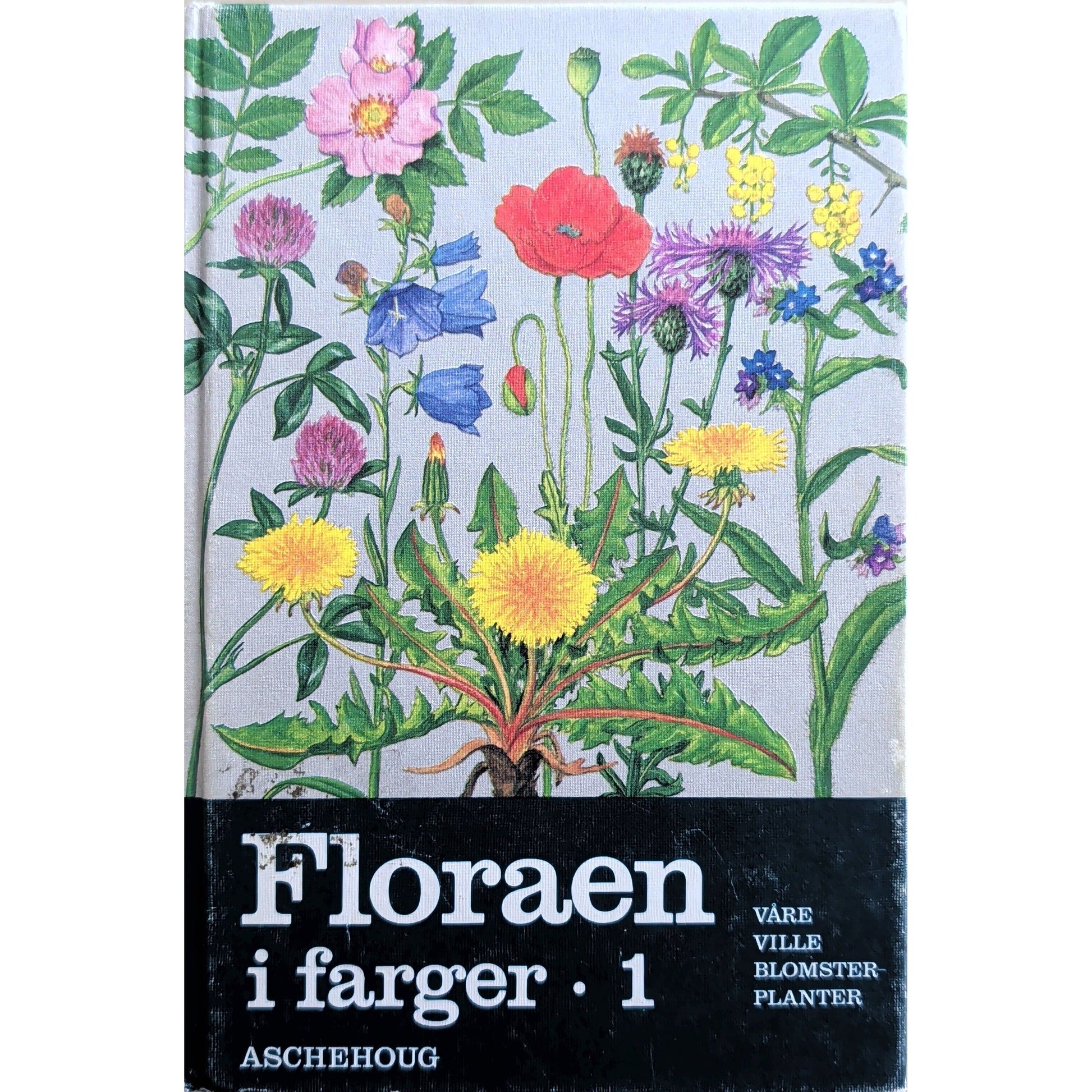 Floraen i farger (1), brukte bøker av Gunnar A. Berg. Naturen i farger