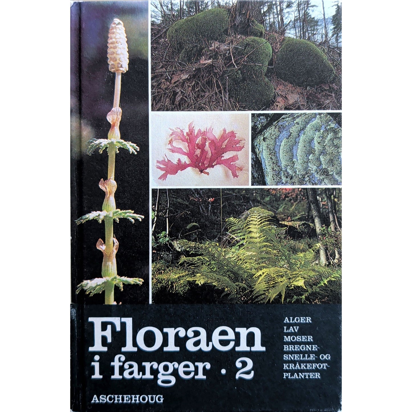 Floraen i farger (2), brukte bøker av Arne Pedersen og Jørgen Vasshaug